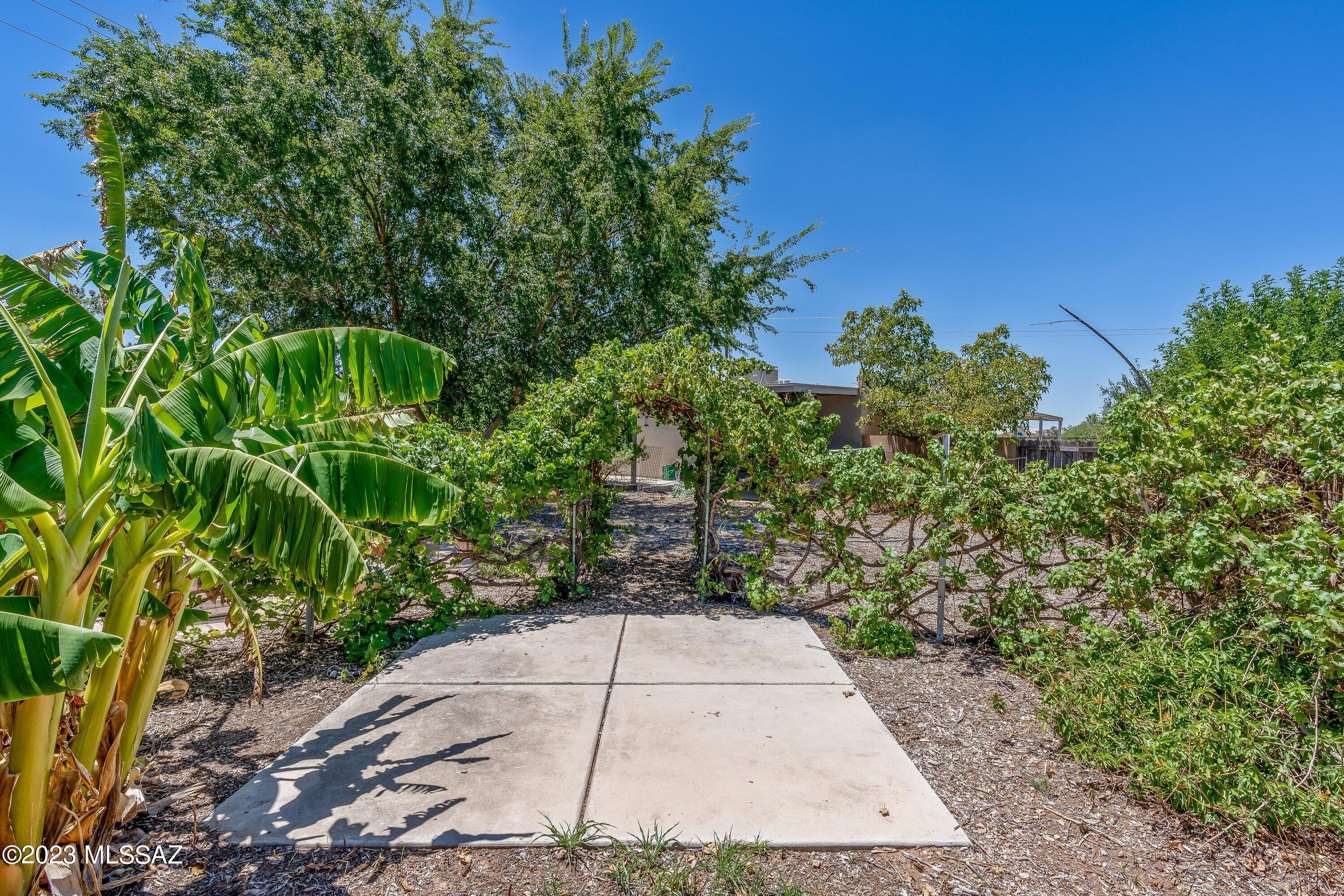9893 South Spider Rock Road Vail, AZ 85641 - Photo 40 of 45 Gallery Image 40