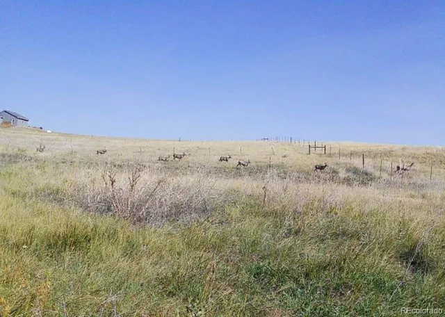 $900,000 | 9990 County Road 162, Kiowa, CO 80117