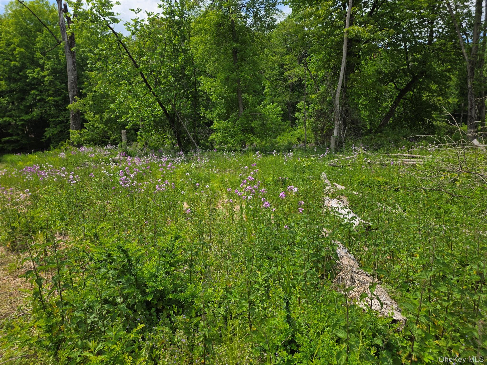 Cr-2 Road Red Hook, NY 12571 - Photo 4 of 14