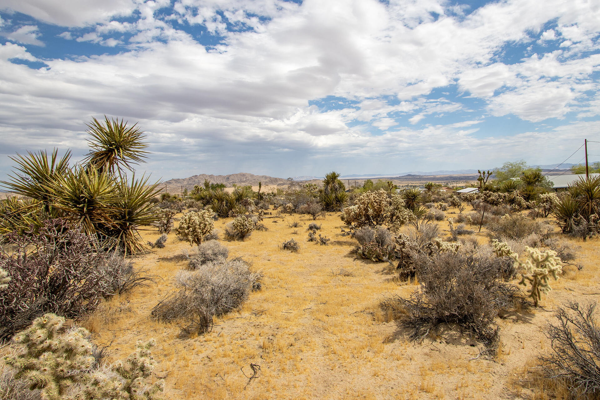207 Onaga Trail Joshua Tree, CA 92252 - Photo 14 of 27 IMG_1887