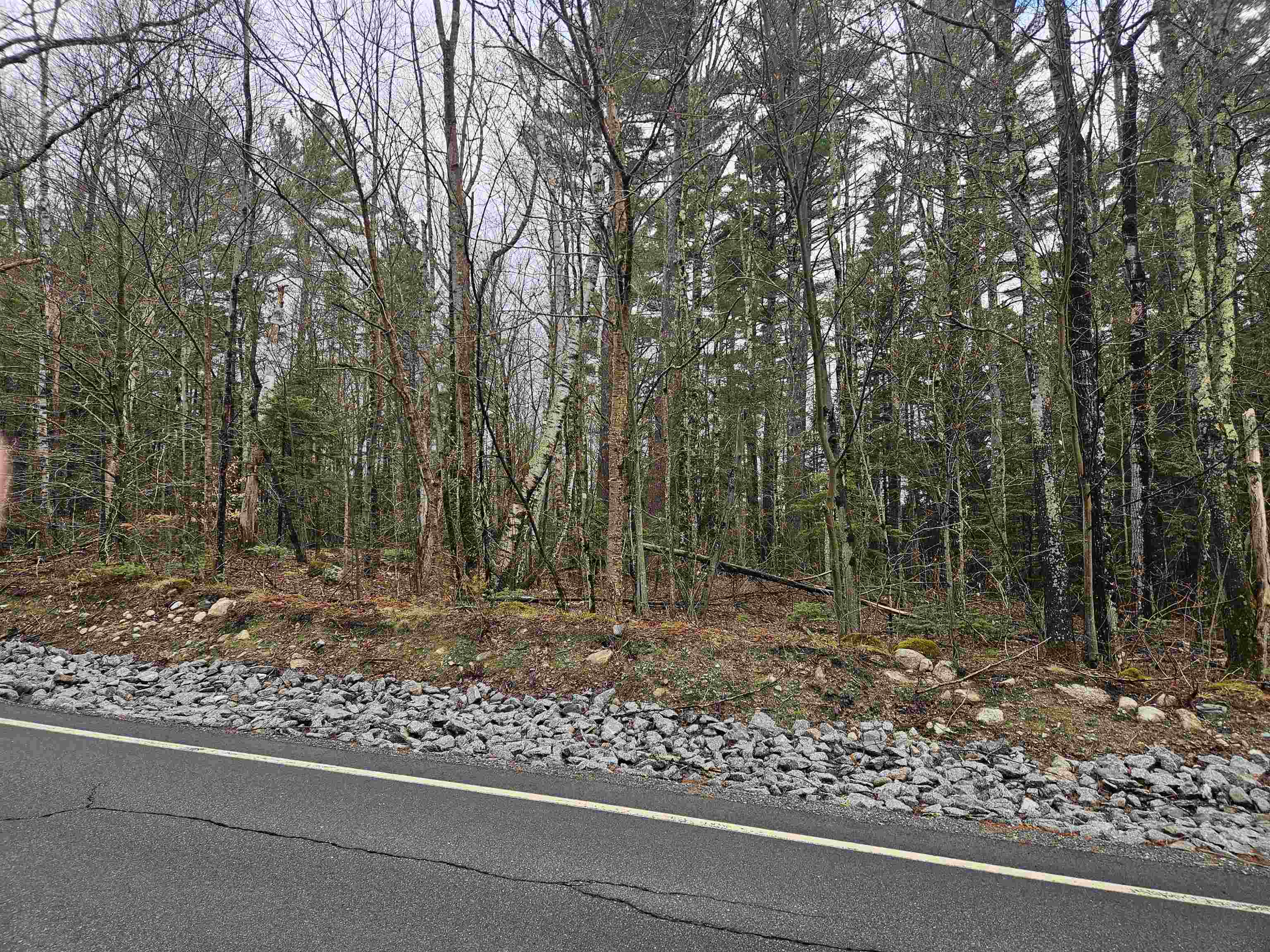Lot 20 Point Of View Drive Franconia, NH 03580 - Photo 11 of 12