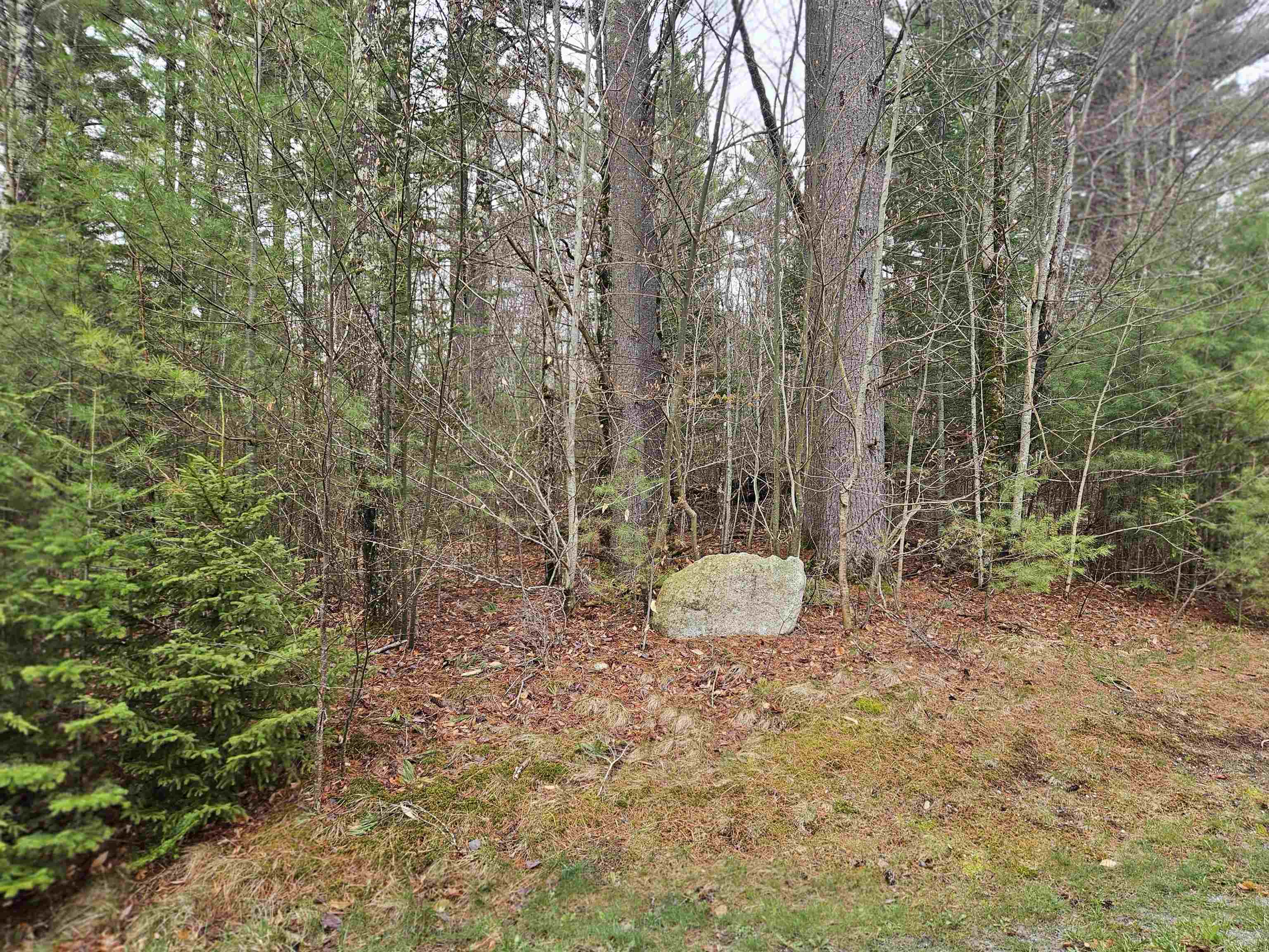 Lot 20 Point Of View Drive Franconia, NH 03580 - Photo 2 of 12