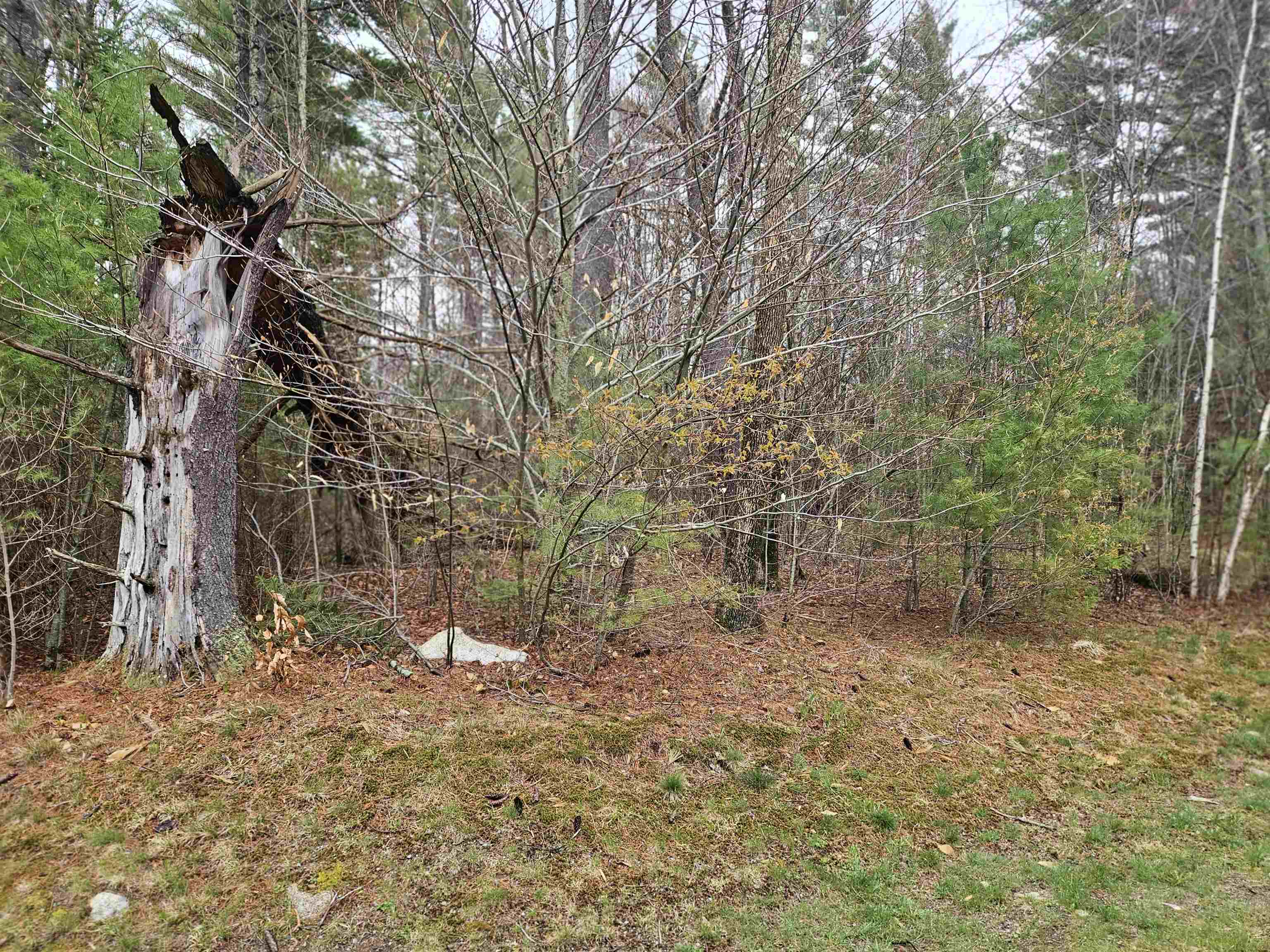 Lot 20 Point Of View Drive Franconia, NH 03580 - Photo 3 of 12