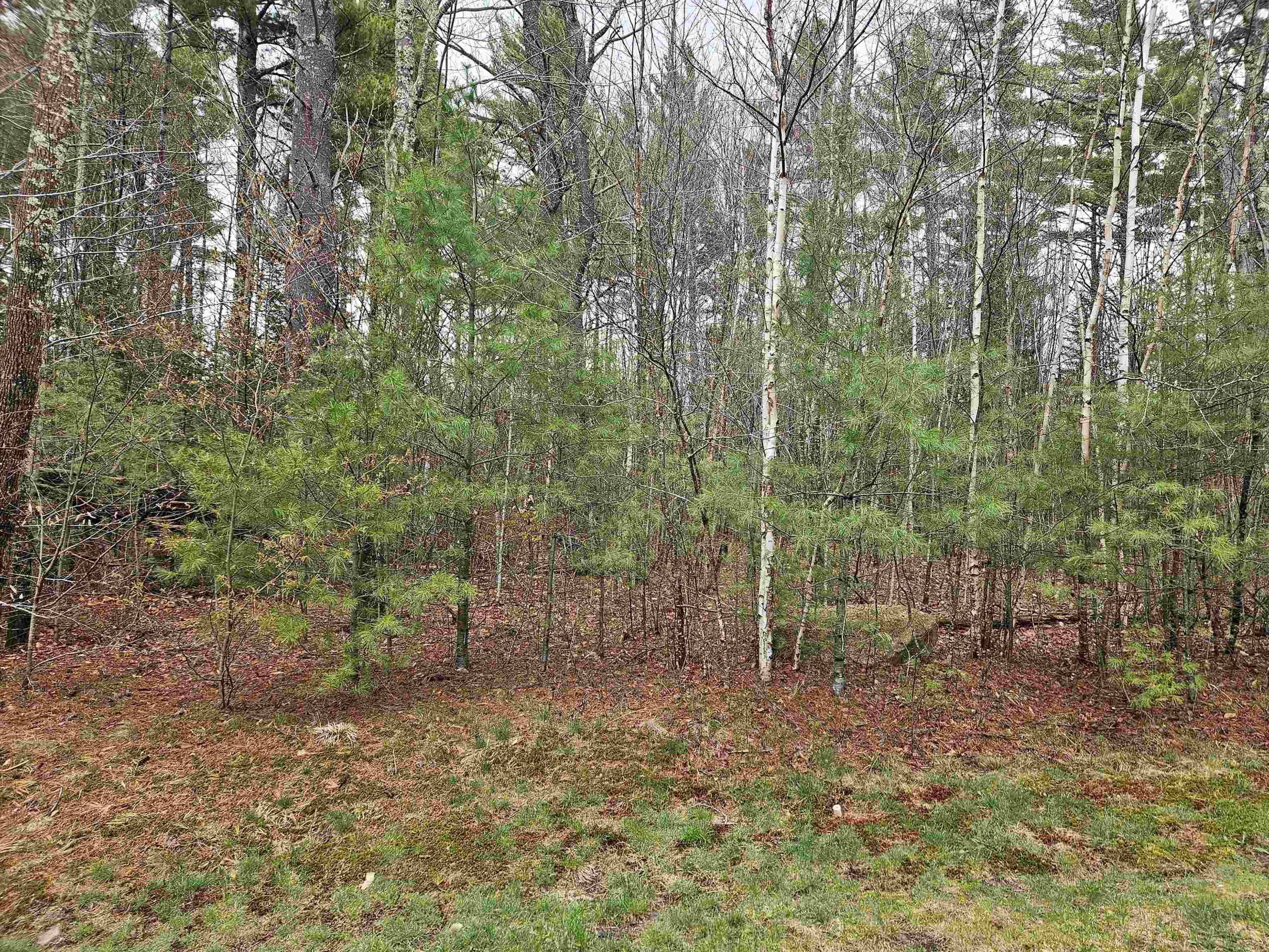Lot 20 Point Of View Drive Franconia, NH 03580 - Photo 4 of 12
