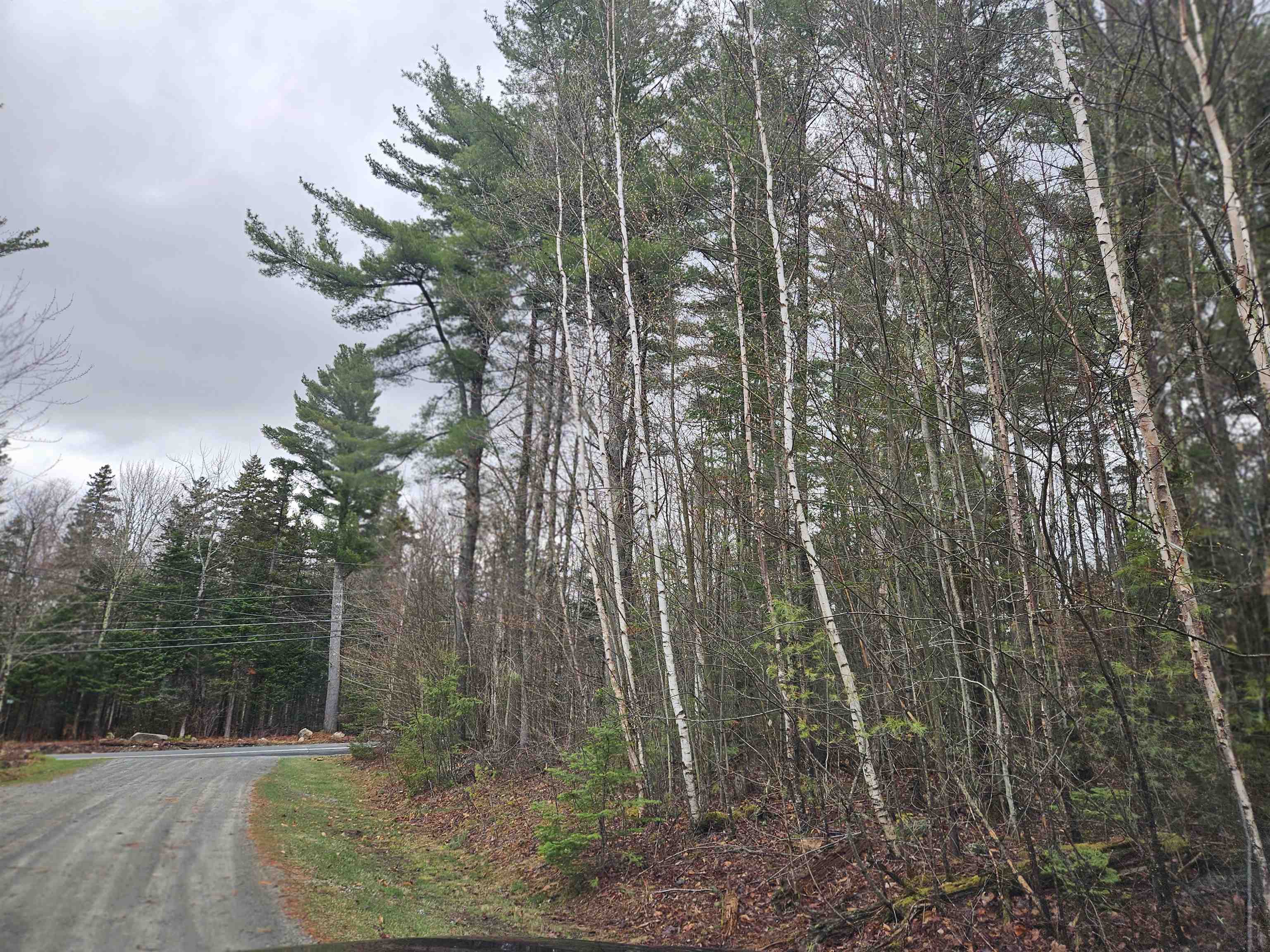 Lot 20 Point Of View Drive Franconia, NH 03580 - Photo 7 of 12