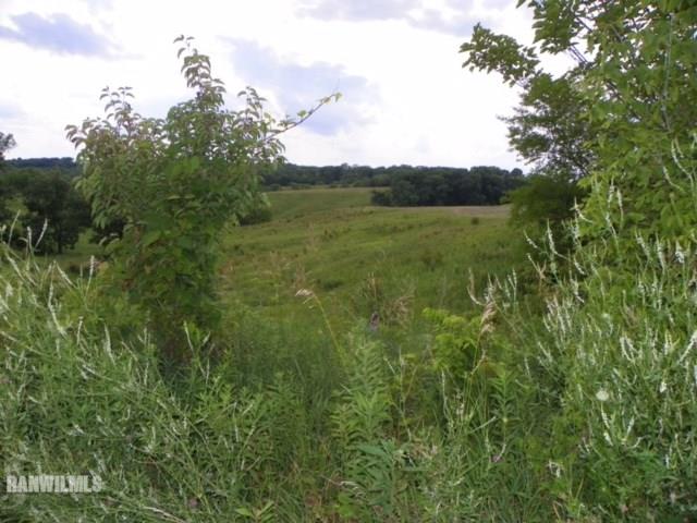 17658 Scenic Ridge Road Savanna, IL 61074 - Photo 7 of 24 a view of a lush green forest with trees in the background