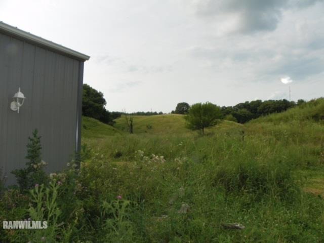 17658 Scenic Ridge Road Savanna, IL 61074 - Photo 8 of 24 a view of a green field with lots of bushes