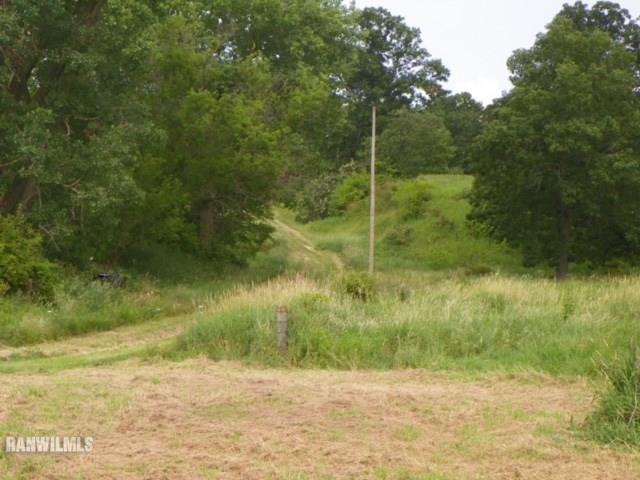 17658 Scenic Ridge Road Savanna, IL 61074 - Photo 9 of 24 a view of a yard