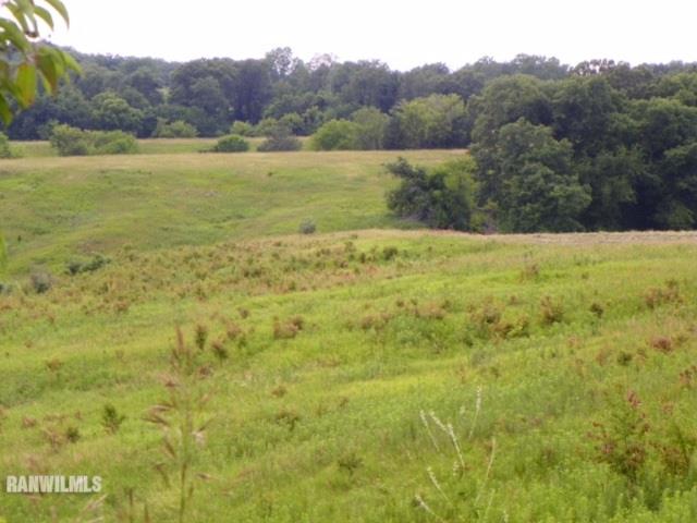 17658 Scenic Ridge Road Savanna, IL 61074 - Photo 10 of 24 a view of a lake with a mountain