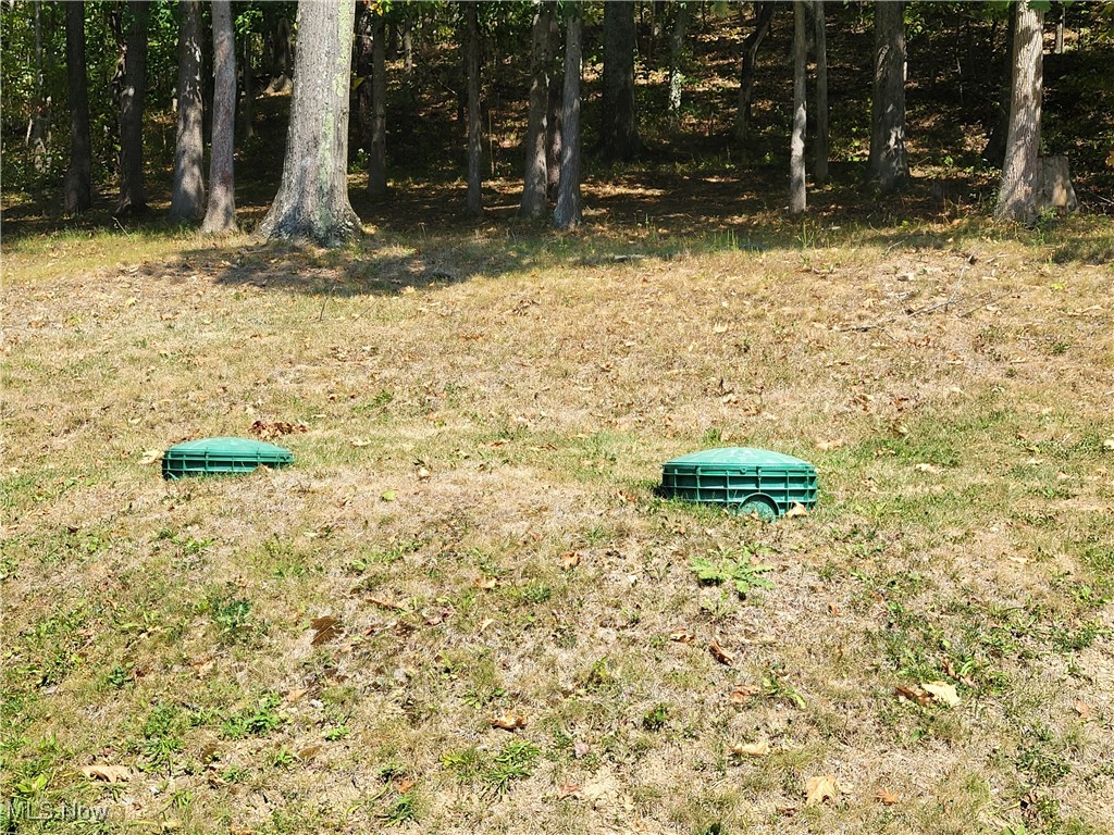 85645 Merryman Road Cadiz, OH 43907 - Photo 31 of 38 View of yard