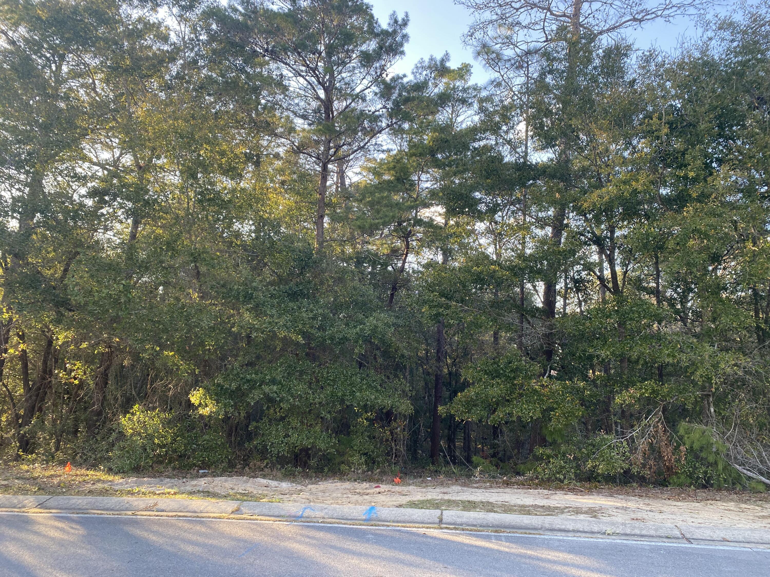 Tbd Ruckel Drive Niceville, FL 32578 - Photo 3 of 8 a view of a yard from a tree