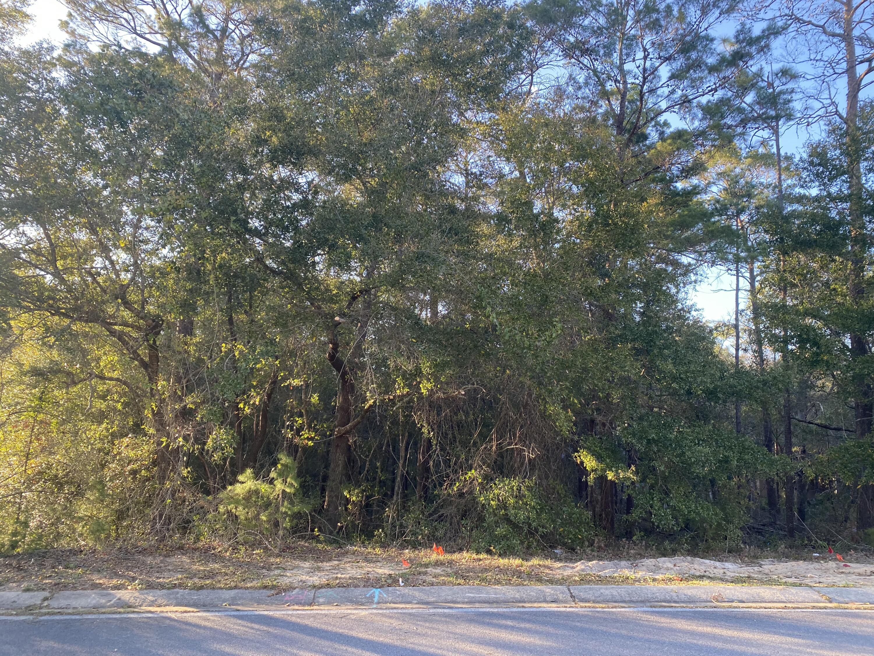 Tbd Ruckel Drive Niceville, FL 32578 - Photo 4 of 8 a view of a yard