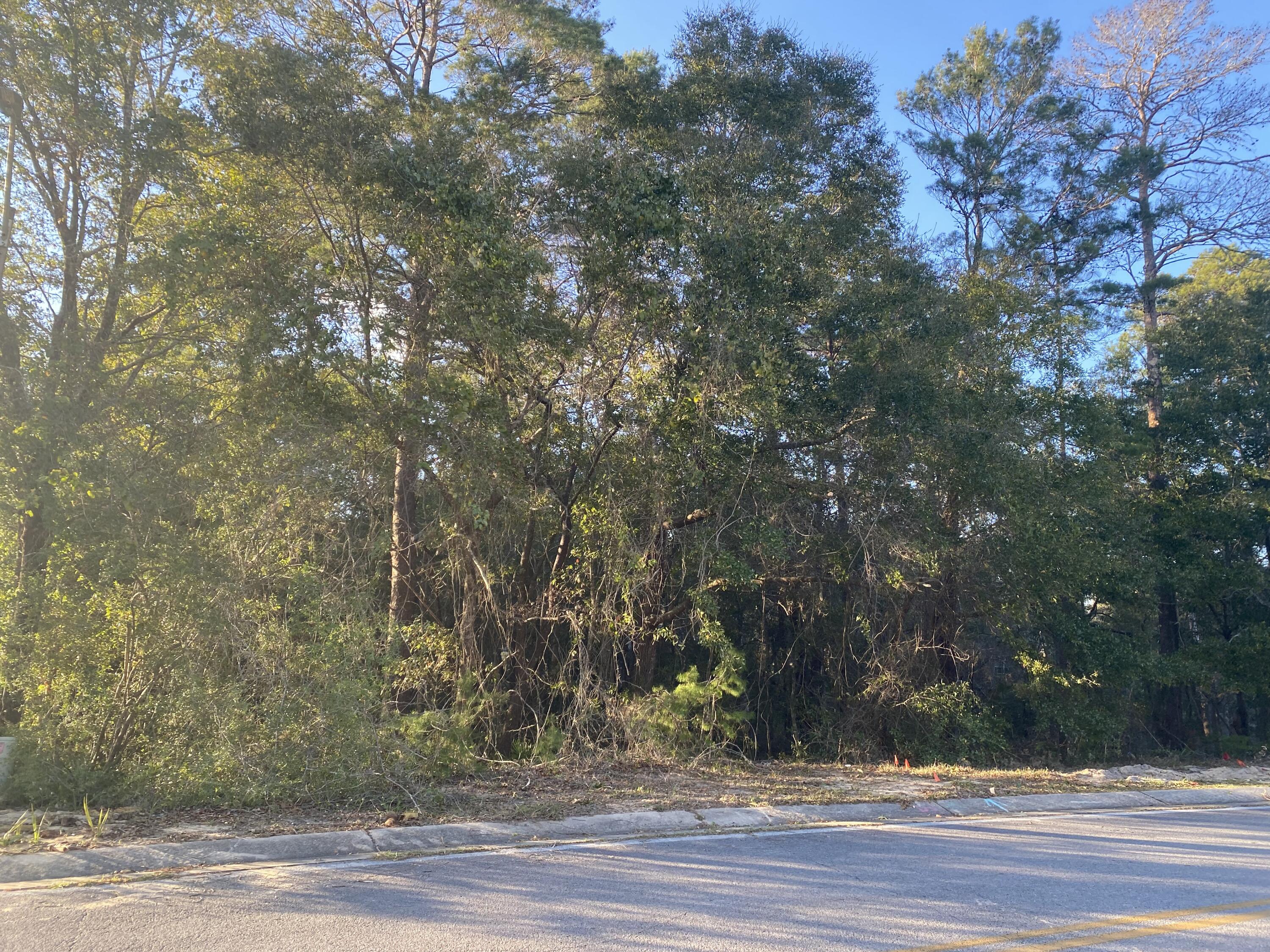 Tbd Ruckel Drive Niceville, FL 32578 - Photo 5 of 8 a view of a yard