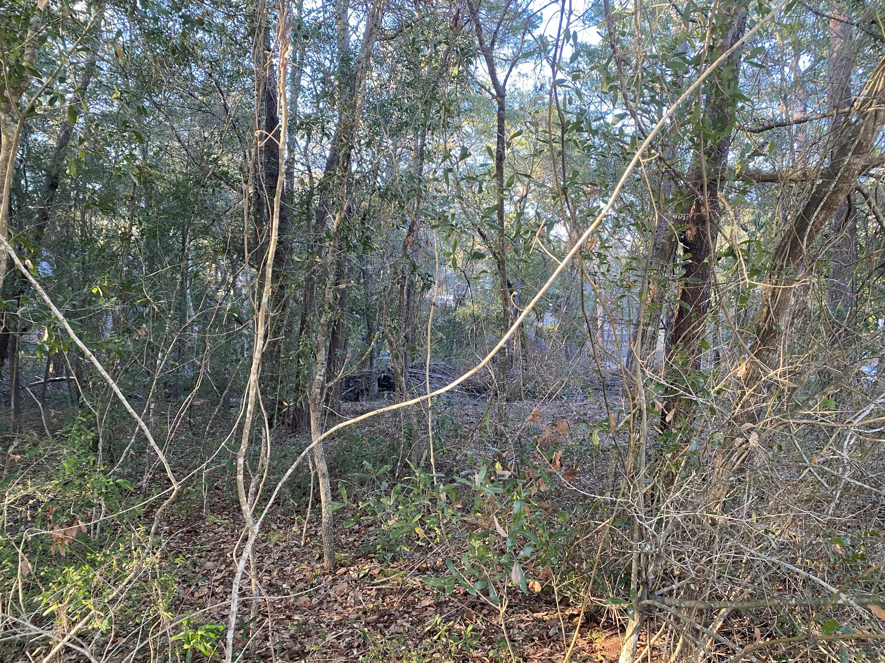 Tbd Ruckel Drive Niceville, FL 32578 - Photo 6 of 8 a backyard of a house with lots of green space