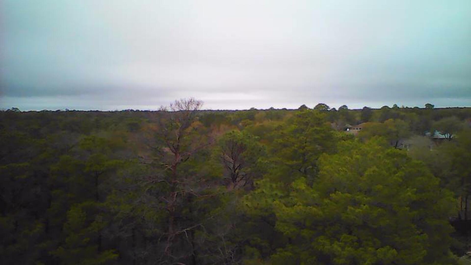 Tbd Ruckel Drive Niceville, FL 32578 - Photo 8 of 8 an aerial view of residential houses with outdoor space and trees