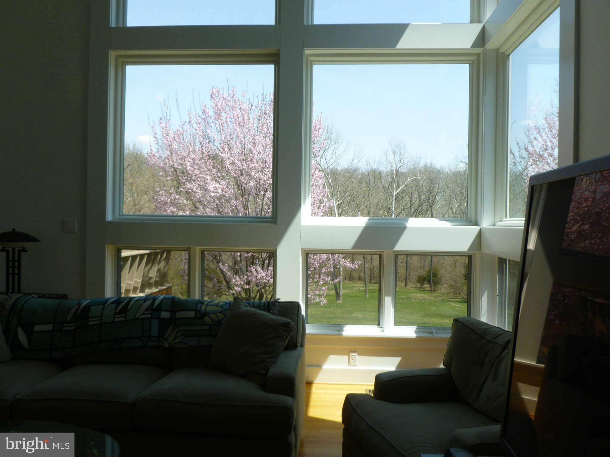 101 Stoney Bottom Road Front Royal, VA 22630 - Photo 13 of 28 Interior (General)