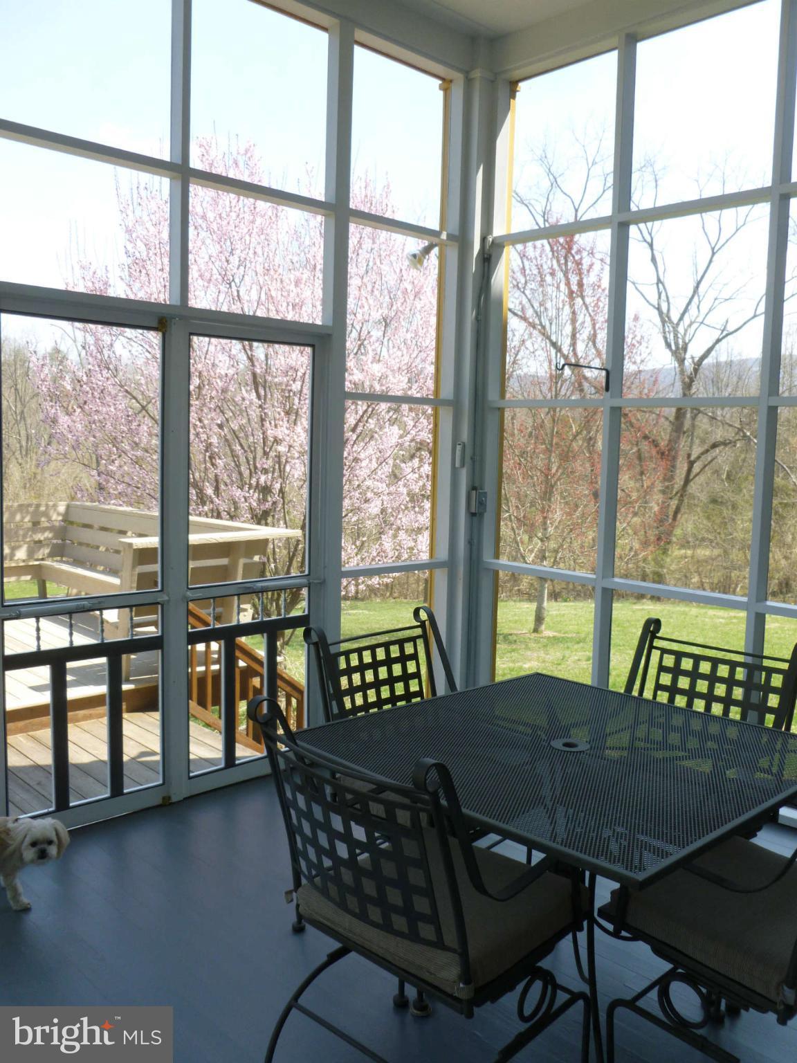 101 Stoney Bottom Road Front Royal, VA 22630 - Photo 8 of 28 Living Room