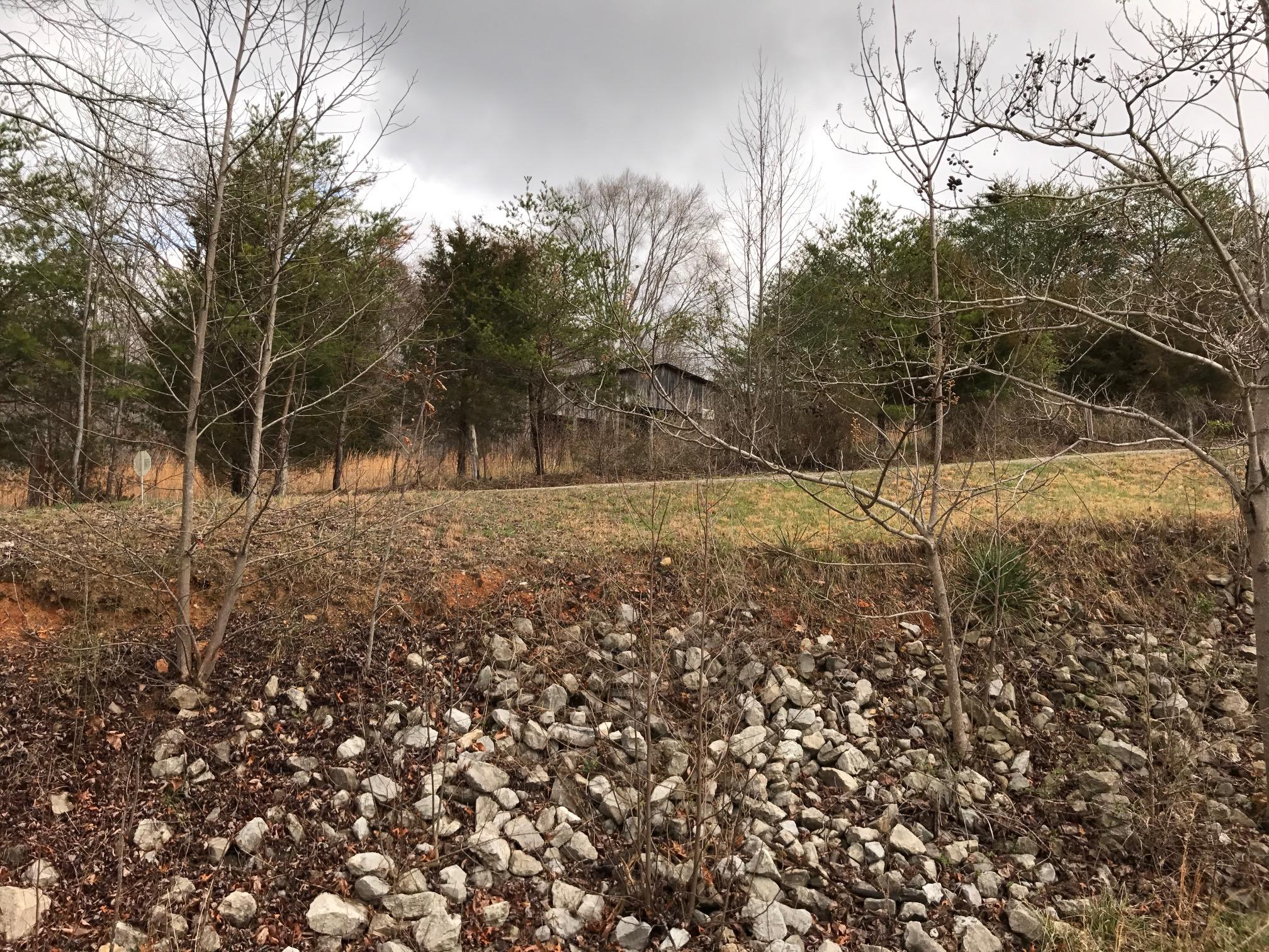 1656 Chestnut Stump Road La Follette, TN 37766 - Photo 6 of 7 IMG_1208