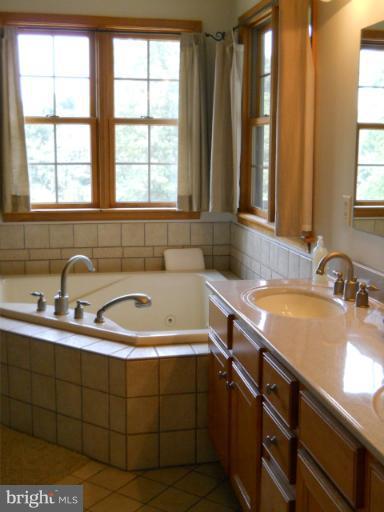 12226 Walnut Point Road Hagerstown, MD 21740 - Photo 10 of 29 Bath (Master)