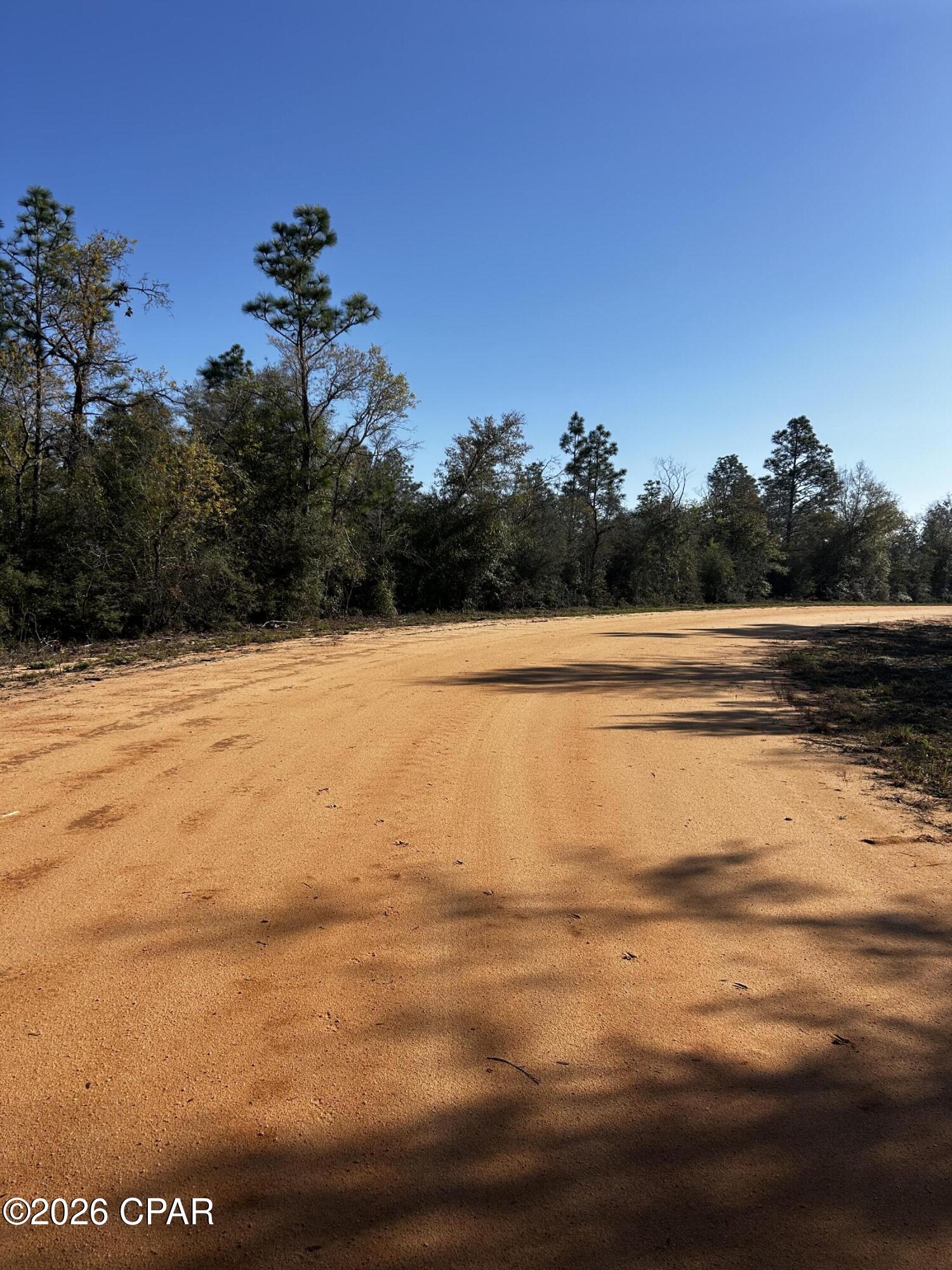 X Rincon Street Alford, FL 32420 - Photo 4 of 9