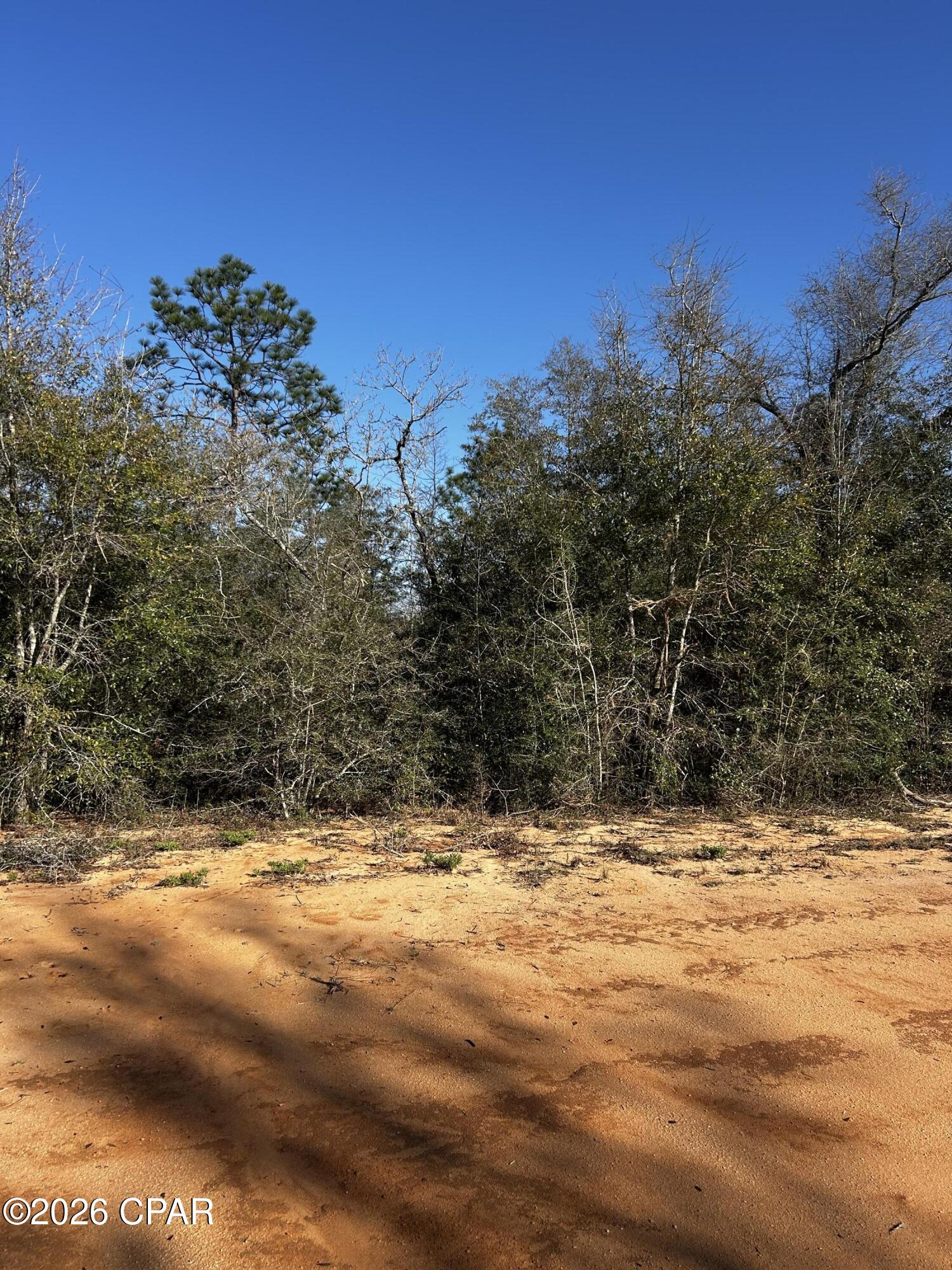 X Rincon Street Alford, FL 32420 - Photo 5 of 9