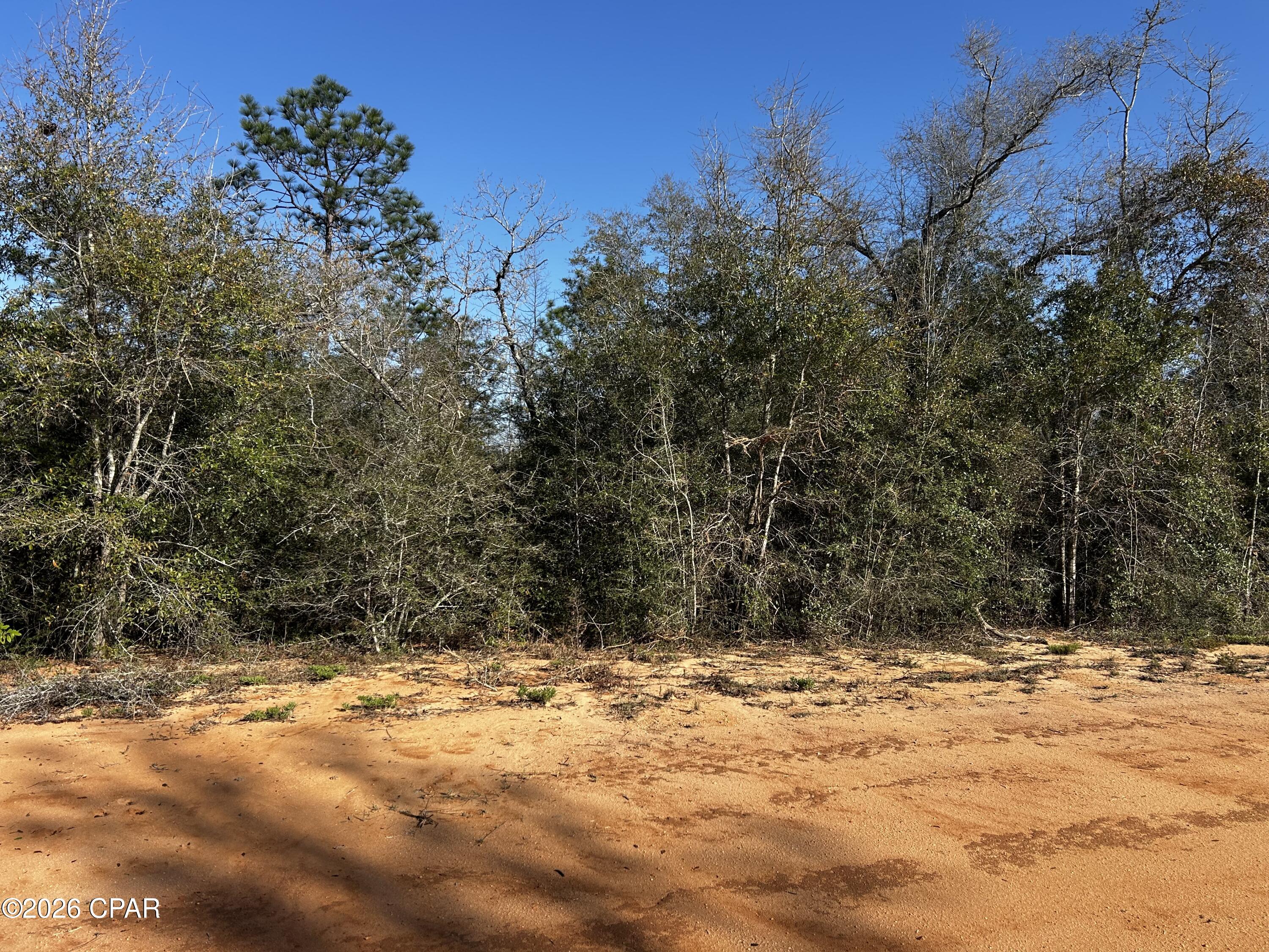 X Rincon Street Alford, FL 32420 - Photo 6 of 9