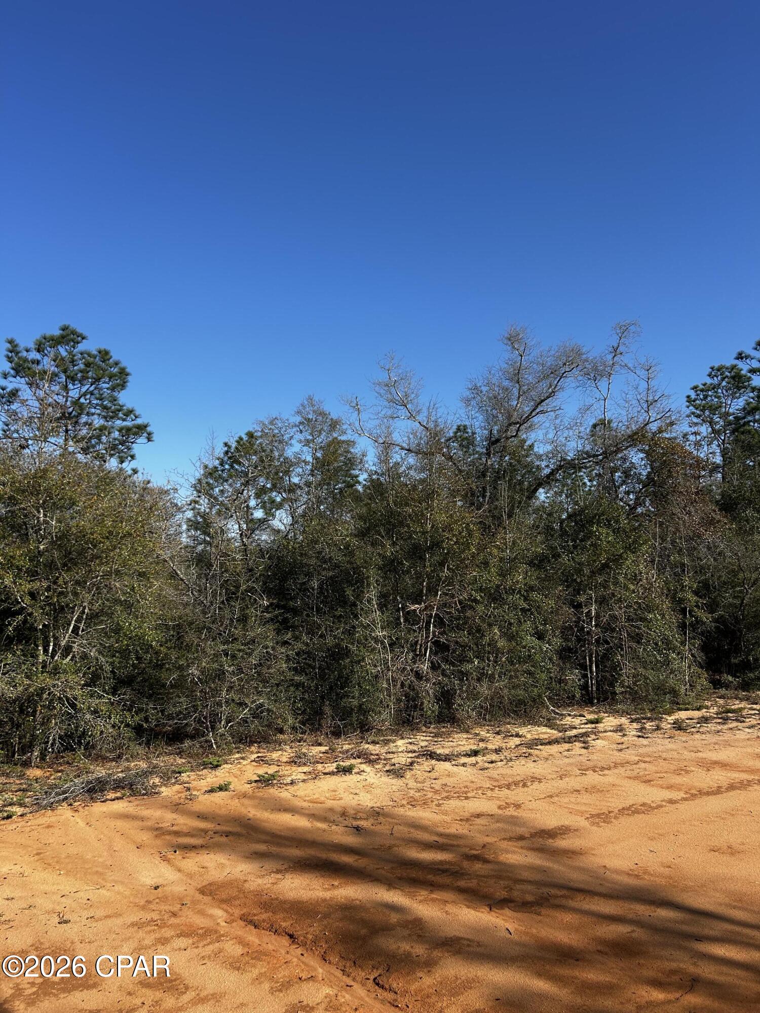 X Rincon Street Alford, FL 32420 - Photo 7 of 9