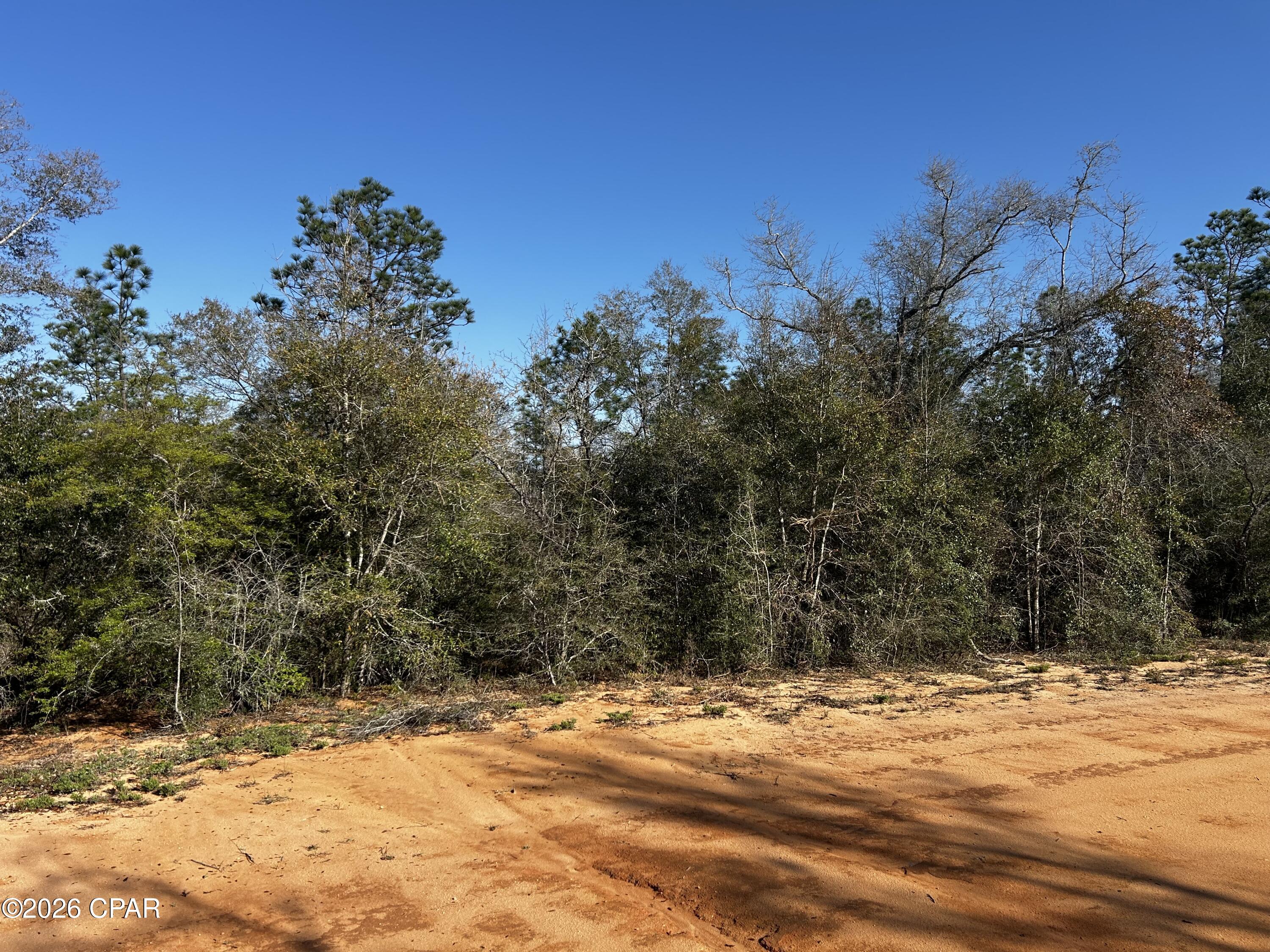 X Rincon Street Alford, FL 32420 - Photo 8 of 9