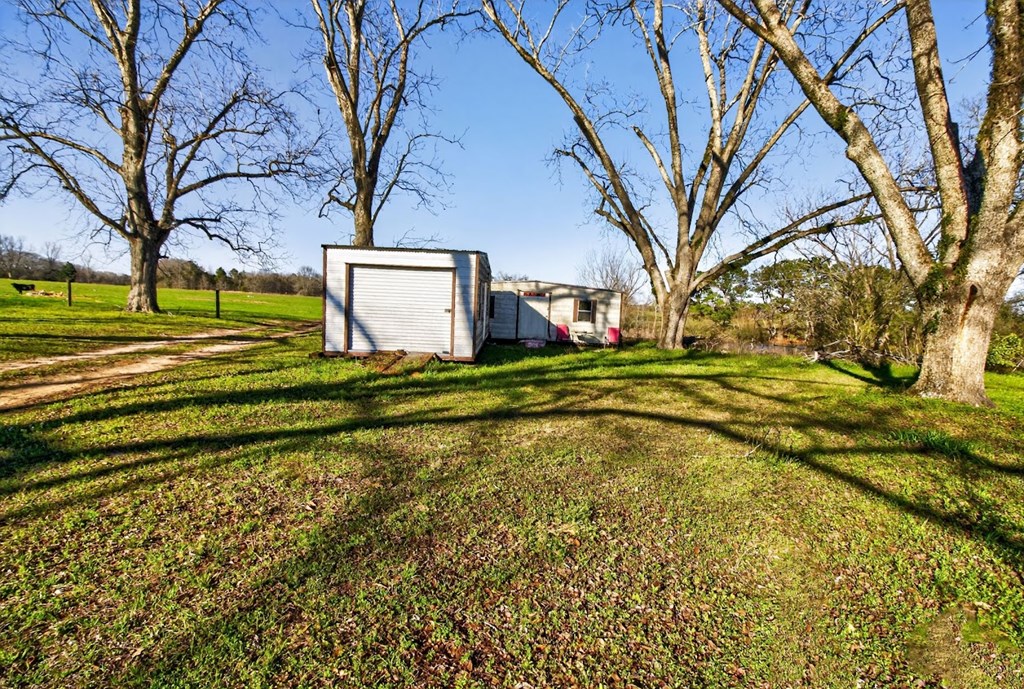 27701 Beulah Church Road Opp, AL 36467 - Photo 15 of 16