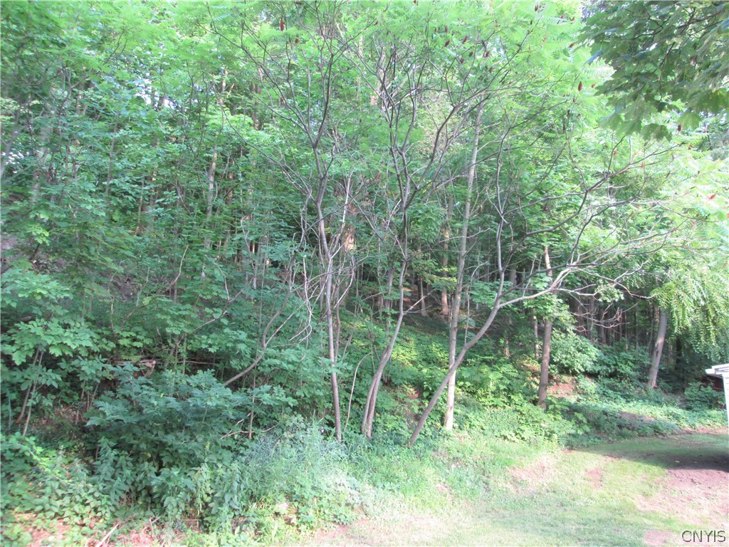 4708 Jordan Road Skaneateles, NY 13153 - Photo 7 of 24