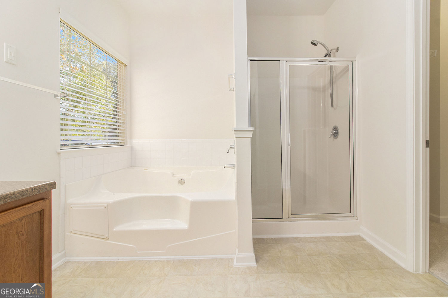 48 Garden View Terrace Newnan, GA 30263 - Photo 17 of 25 a bathroom with a bathtub and a shower