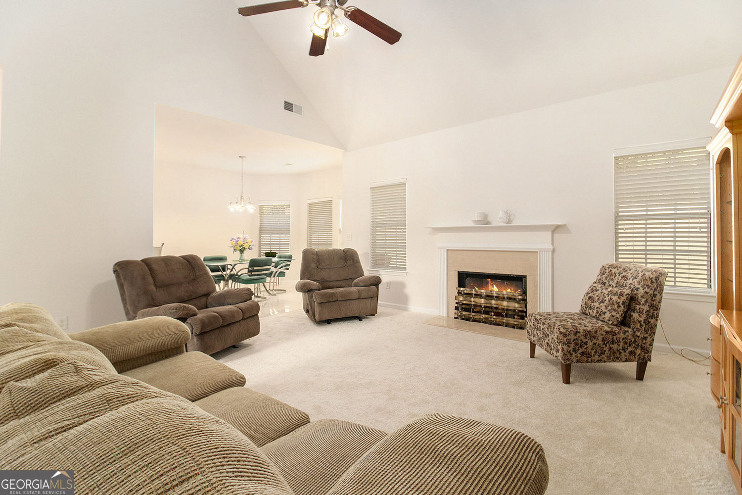 48 Garden View Terrace Newnan, GA 30263 - Photo 8 of 25 a living room with furniture and a fireplace