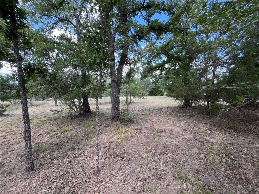 Tbd Lot 33 Tbd Somerville, TX 77879 - Photo 4 of 6 a view of a forest filled with trees