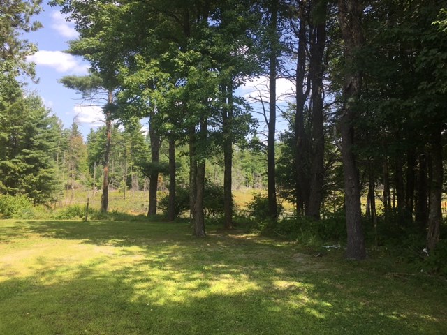 87 Griffin Road Deerfield, NH 03037 - Photo 34 of 40