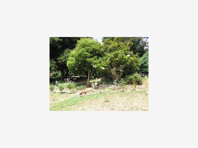 21 Thomas Road Watsonville, CA 95076 - Photo 7 of 7 Gallery Image 7