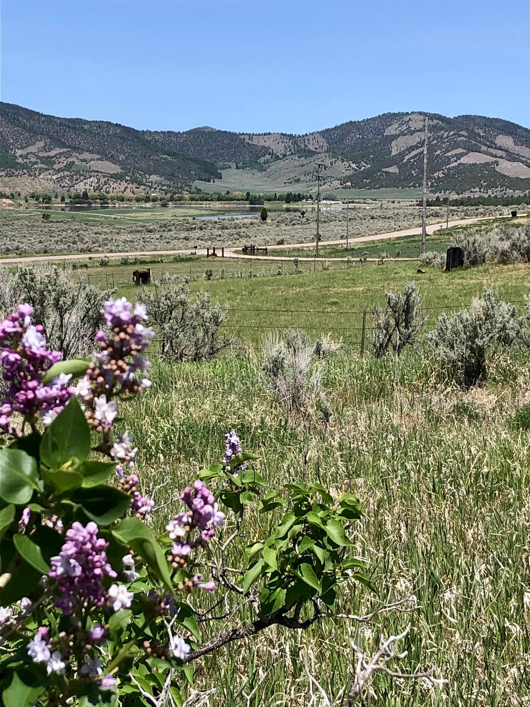 1534 Larsen Road Soda Springs, ID 83276 - Photo 1 of 1 Gallery Image 1