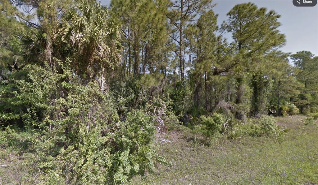 Lot Tbd Boskoop Road North Port, FL 34288 - Photo 3 of 3 a view of a tree