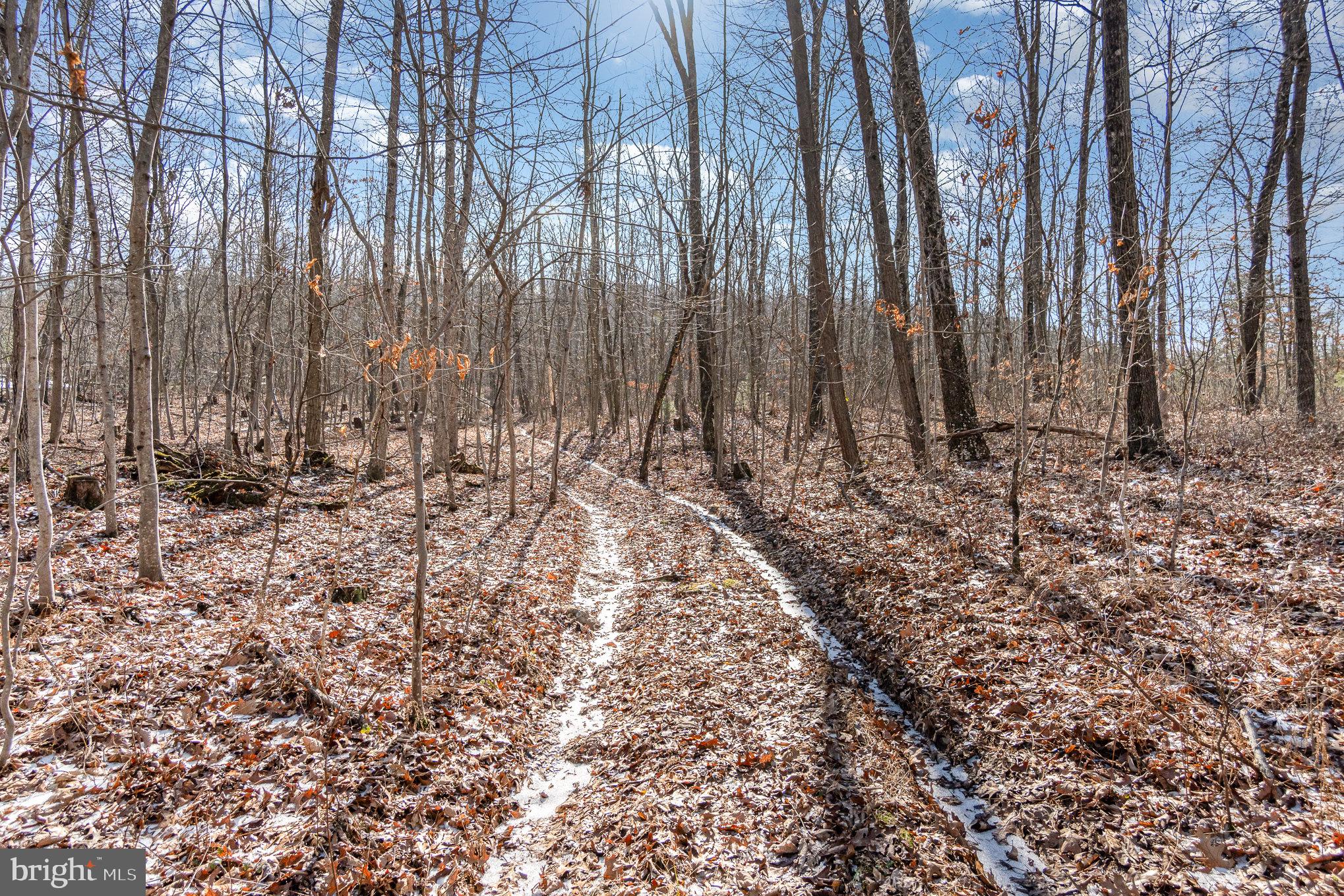 Pine Road Carlisle, PA 17015 - Photo 11 of 19