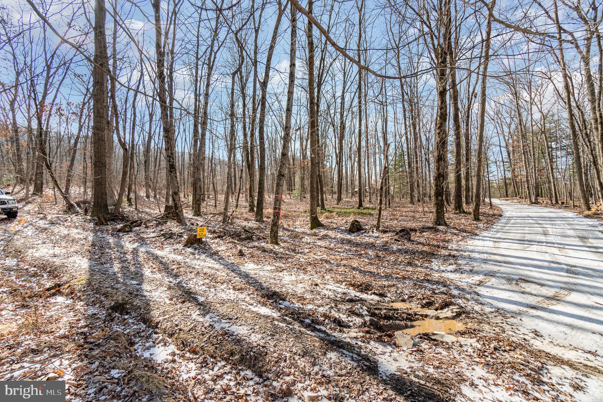 Pine Road Carlisle, PA 17015 - Photo 12 of 19