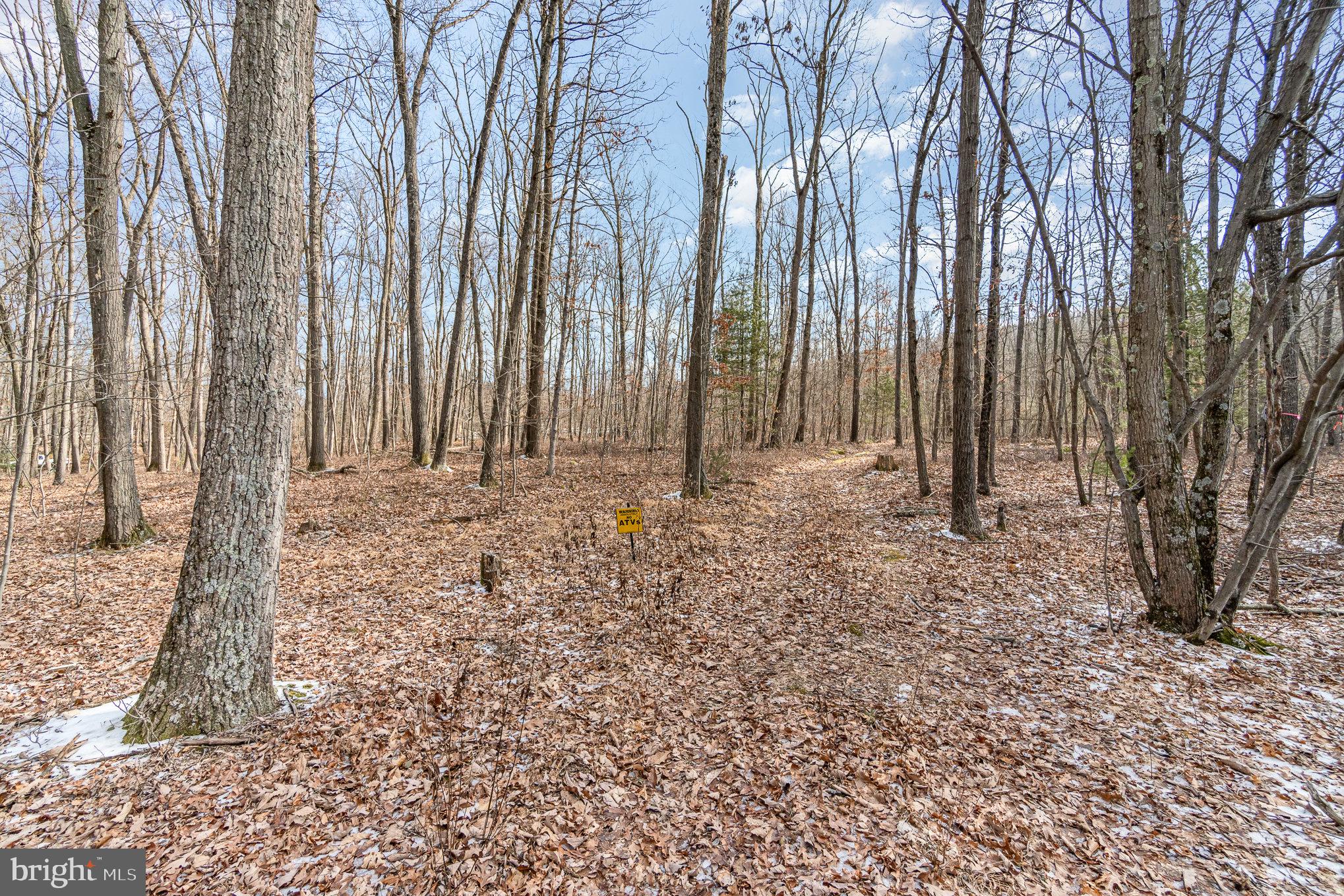 Pine Road Carlisle, PA 17015 - Photo 13 of 19