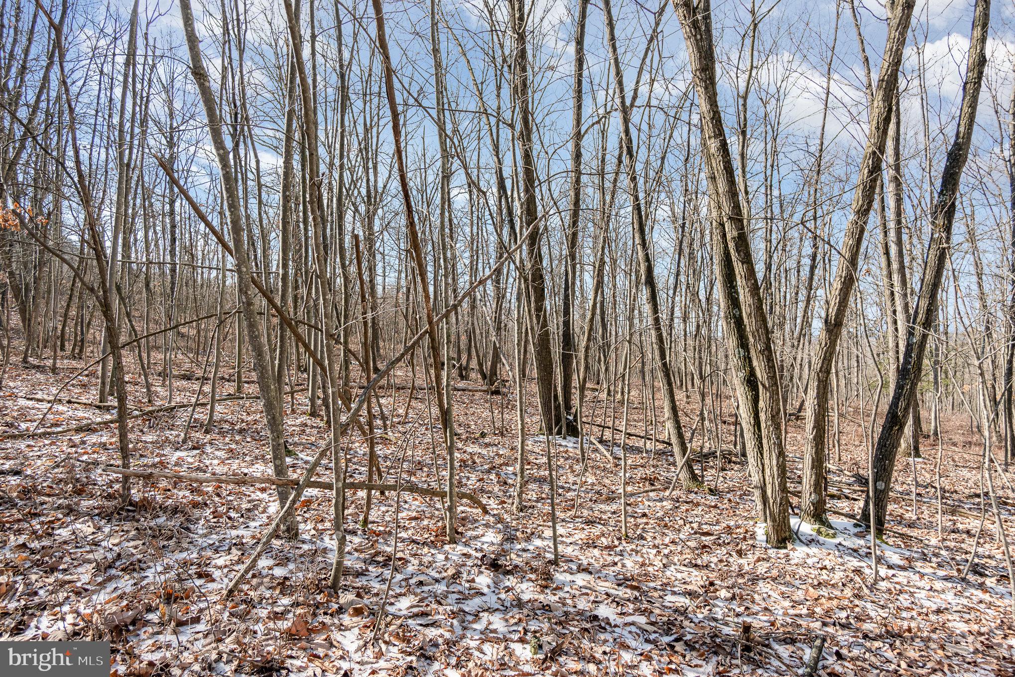 Pine Road Carlisle, PA 17015 - Photo 14 of 19