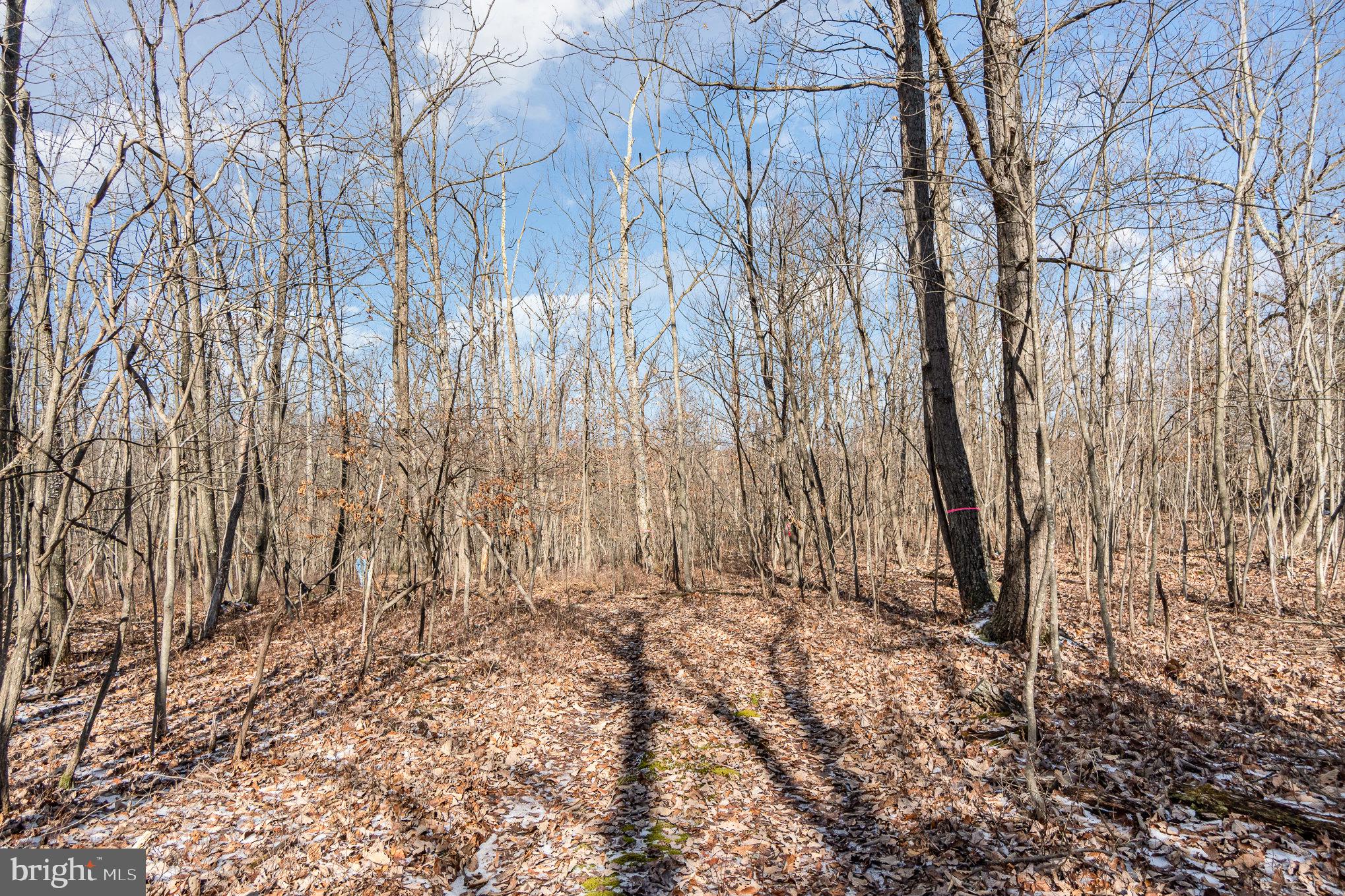 Pine Road Carlisle, PA 17015 - Photo 15 of 19