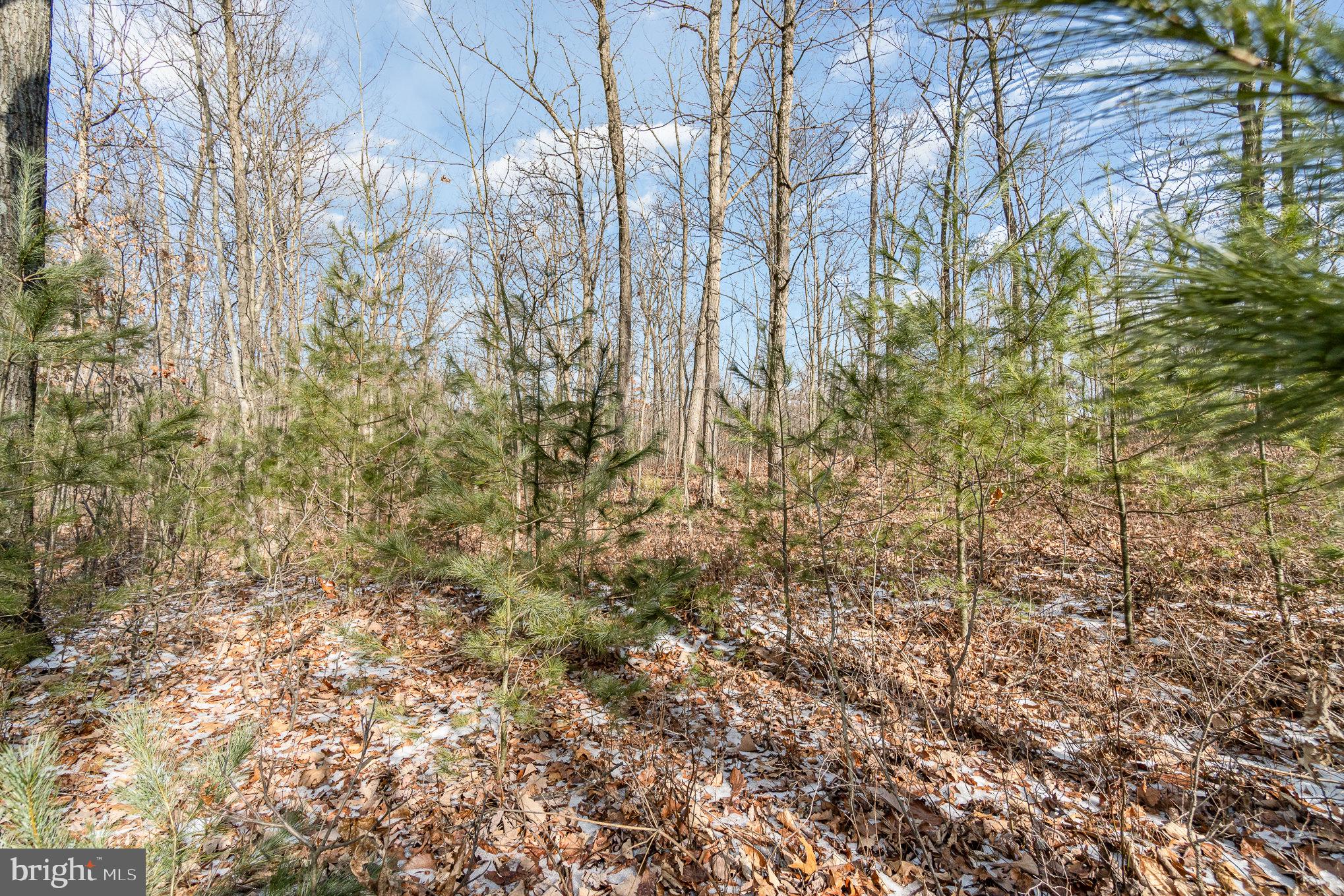 Pine Road Carlisle, PA 17015 - Photo 16 of 19