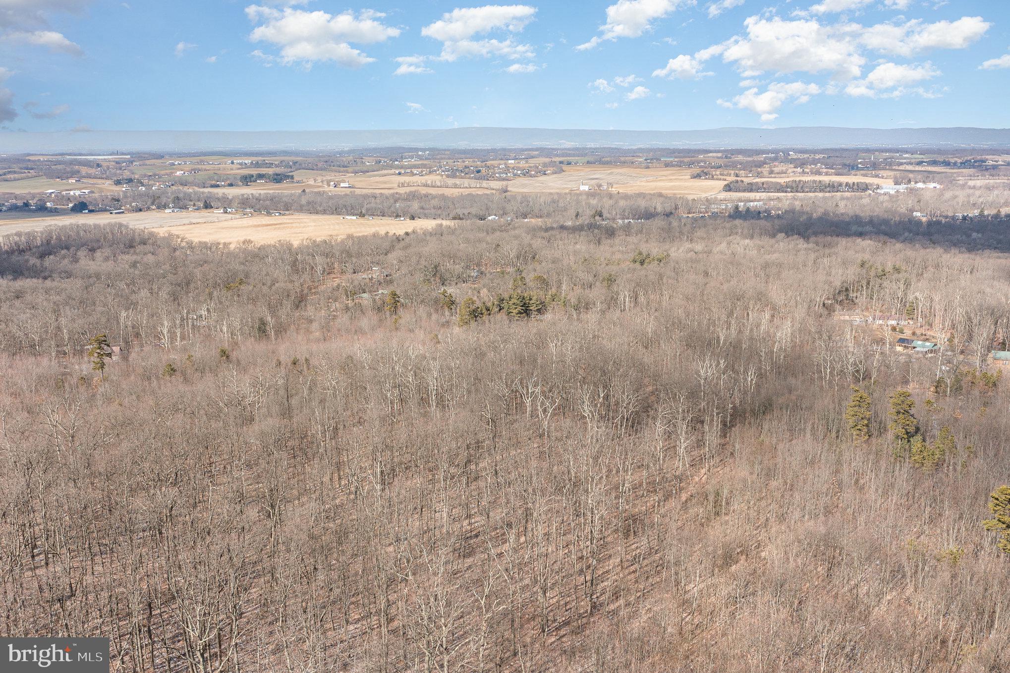 Pine Road Carlisle, PA 17015 - Photo 3 of 19