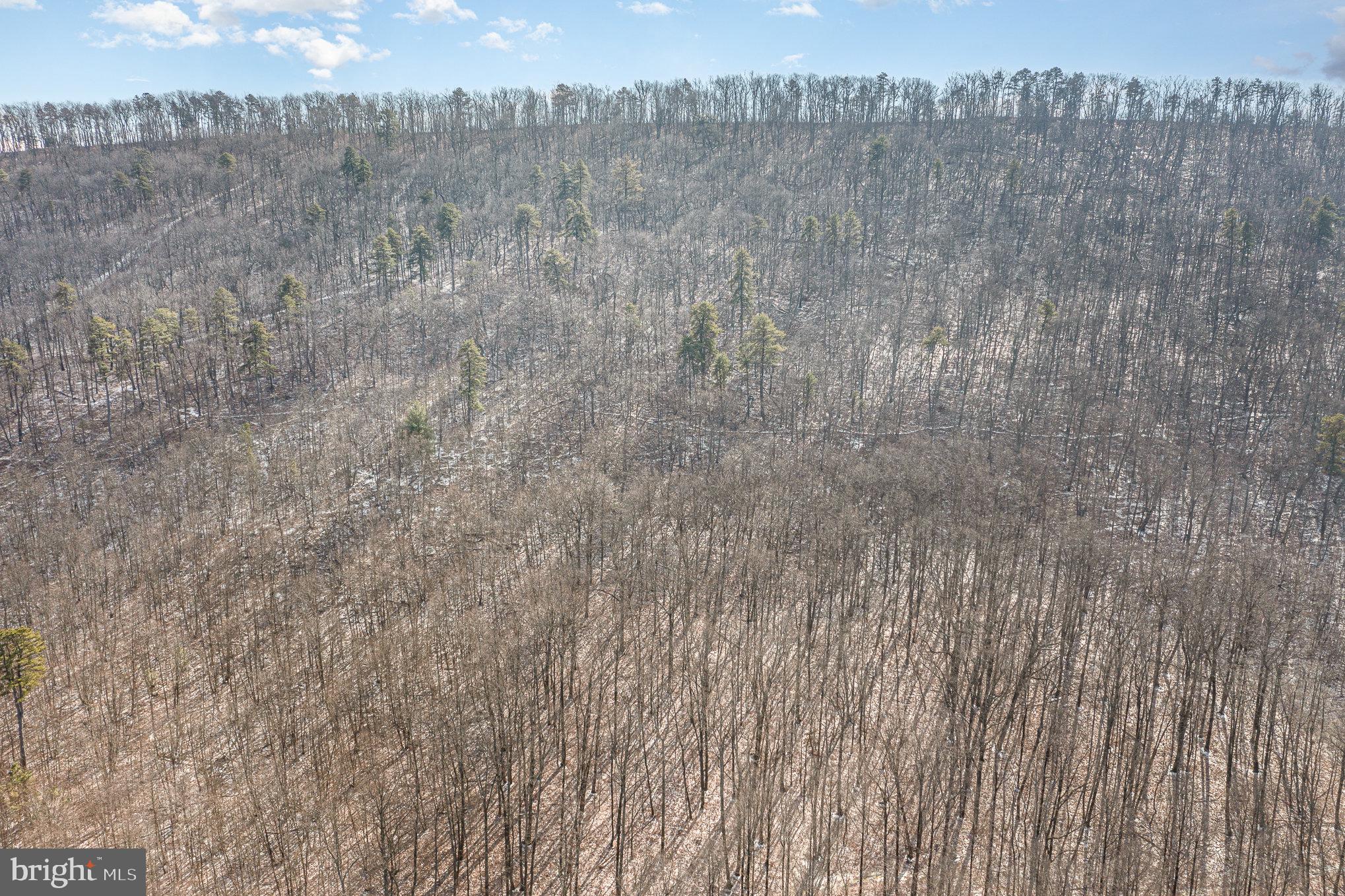 Pine Road Carlisle, PA 17015 - Photo 4 of 19