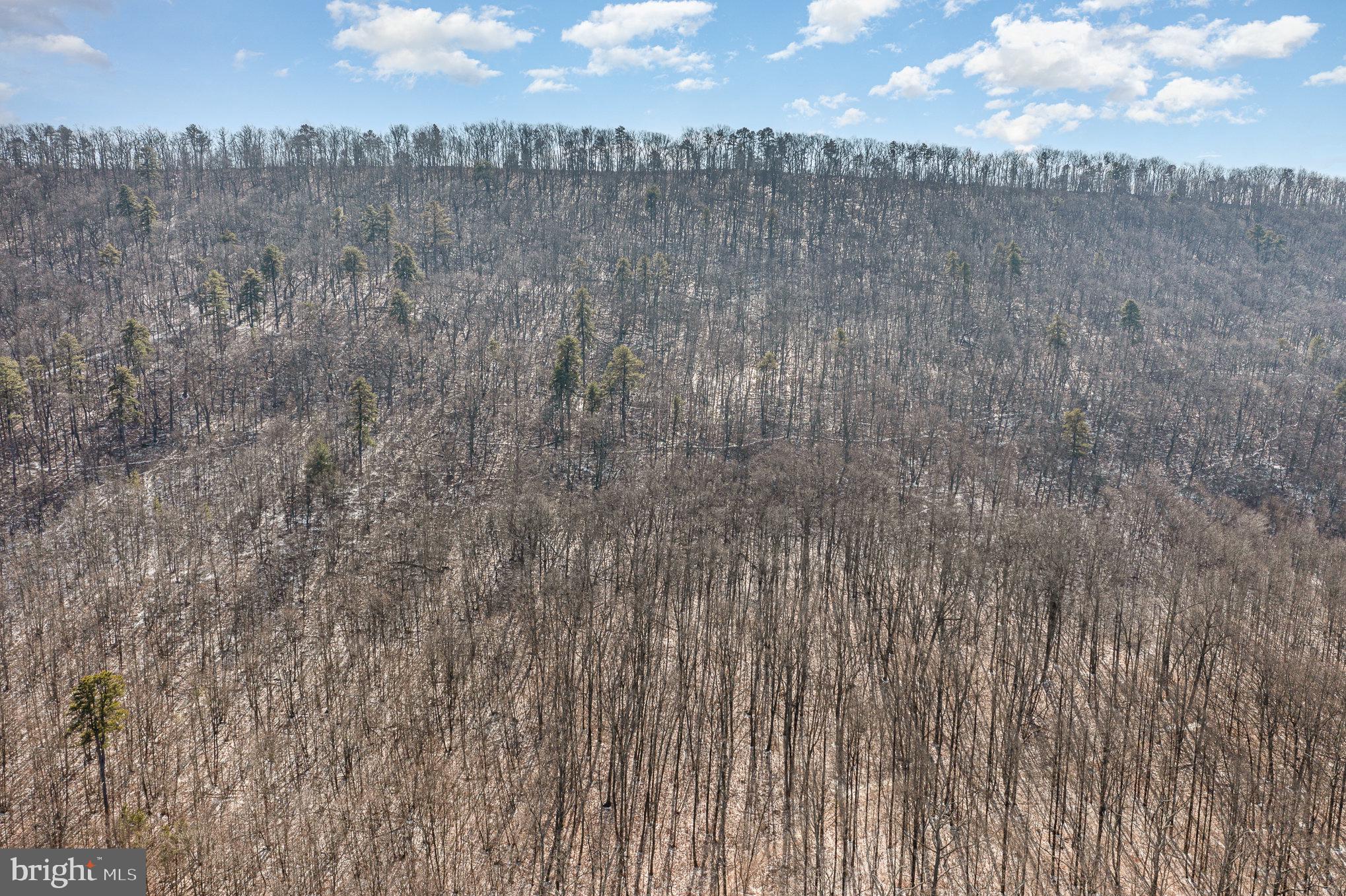 Pine Road Carlisle, PA 17015 - Photo 5 of 19