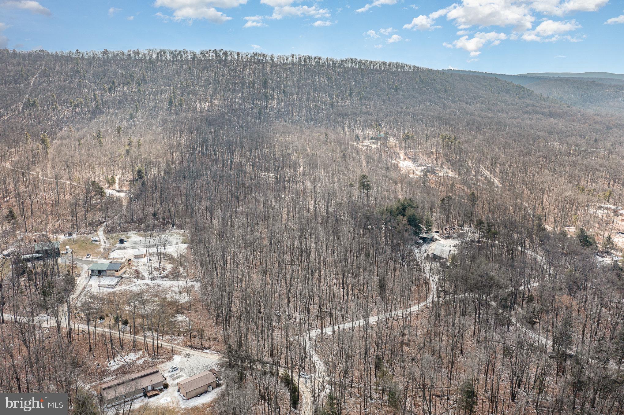 Pine Road Carlisle, PA 17015 - Photo 9 of 19