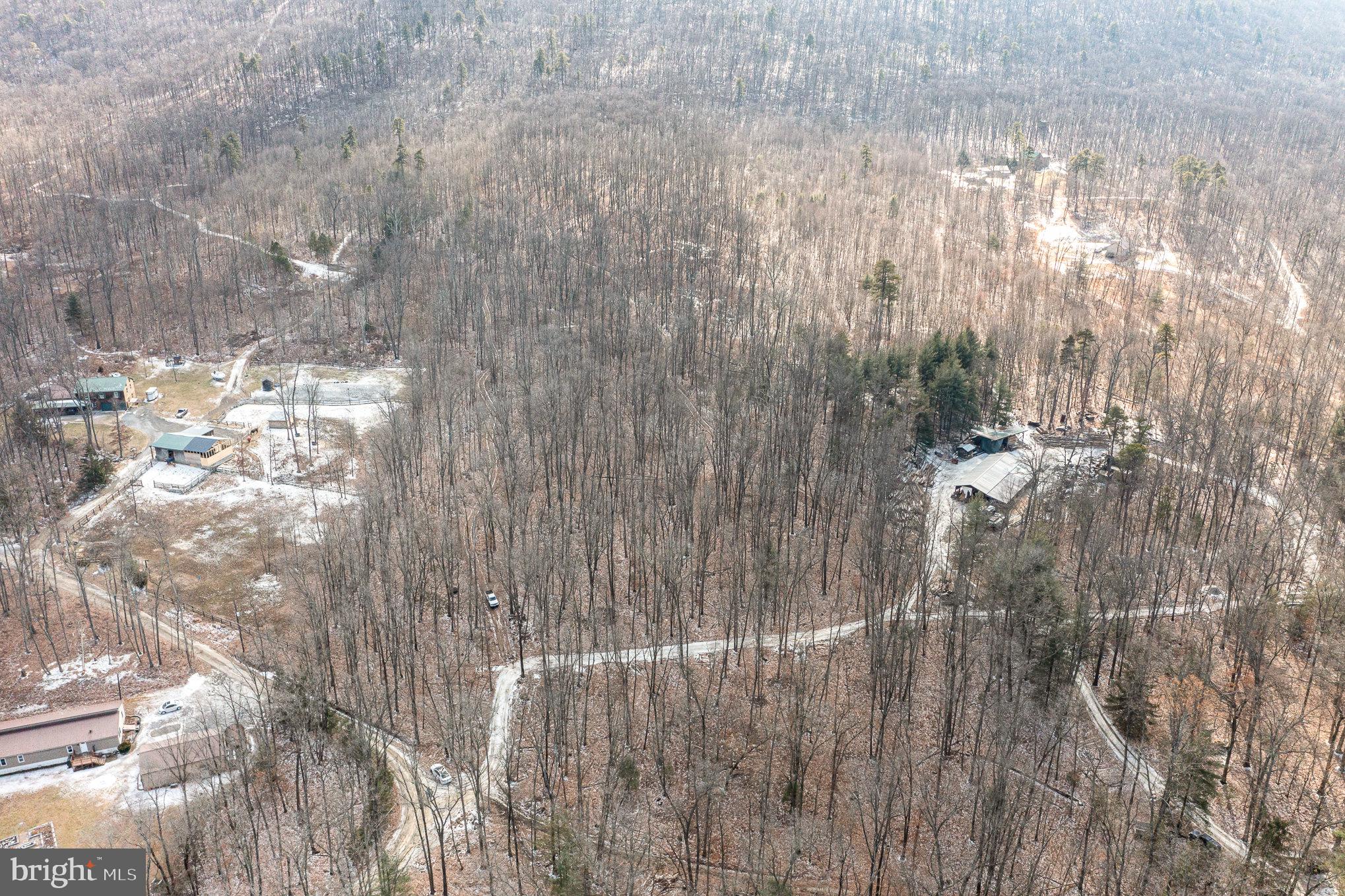 Pine Road Carlisle, PA 17015 - Photo 10 of 19