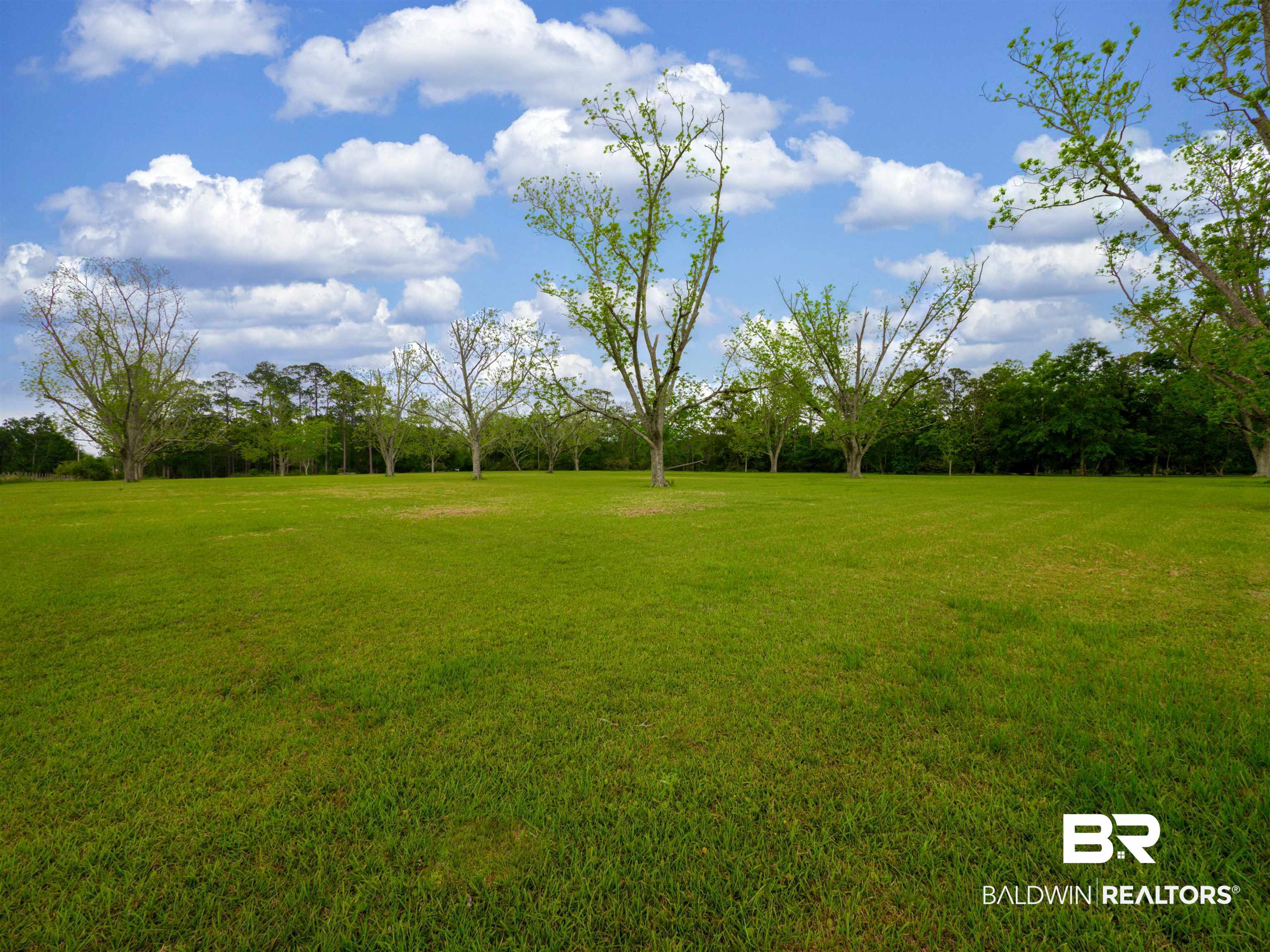 14410 County Road 83 Elberta, AL 36530 - Photo 35 of 50 Gallery Image 35