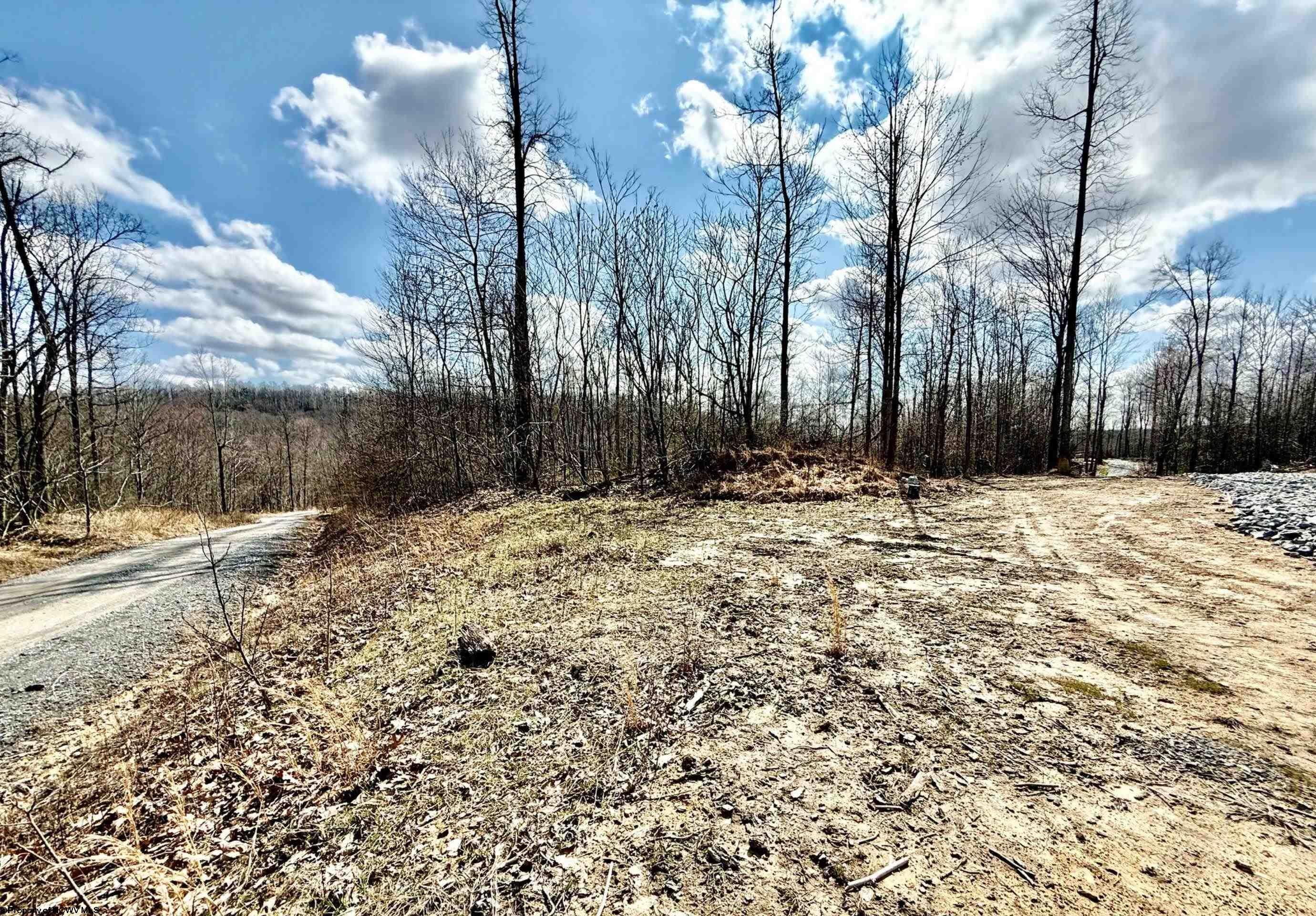 Lot 4 Brooklyn Road Parsons, WV 26287 - Photo 5 of 14 Gallery Image 5